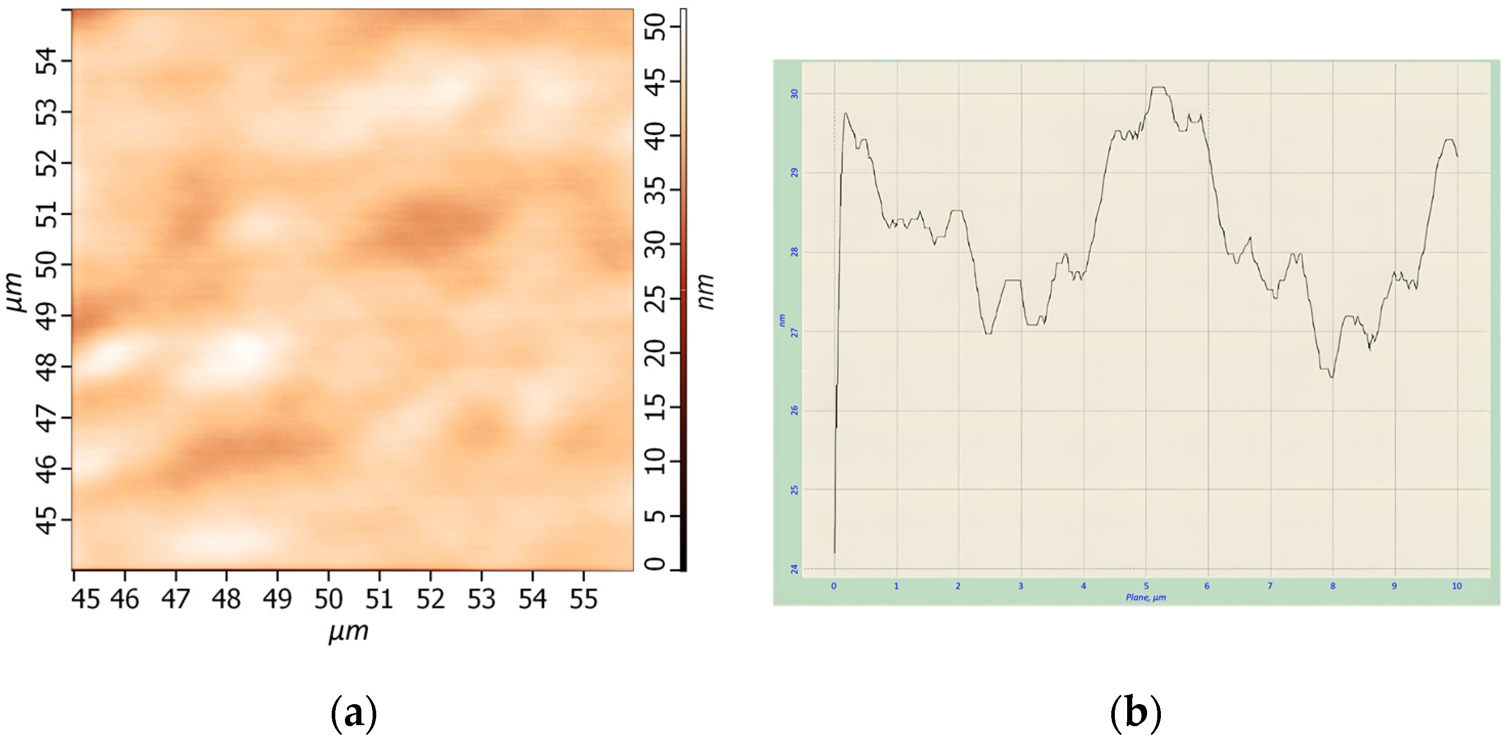 Materproc 14 00021 g002