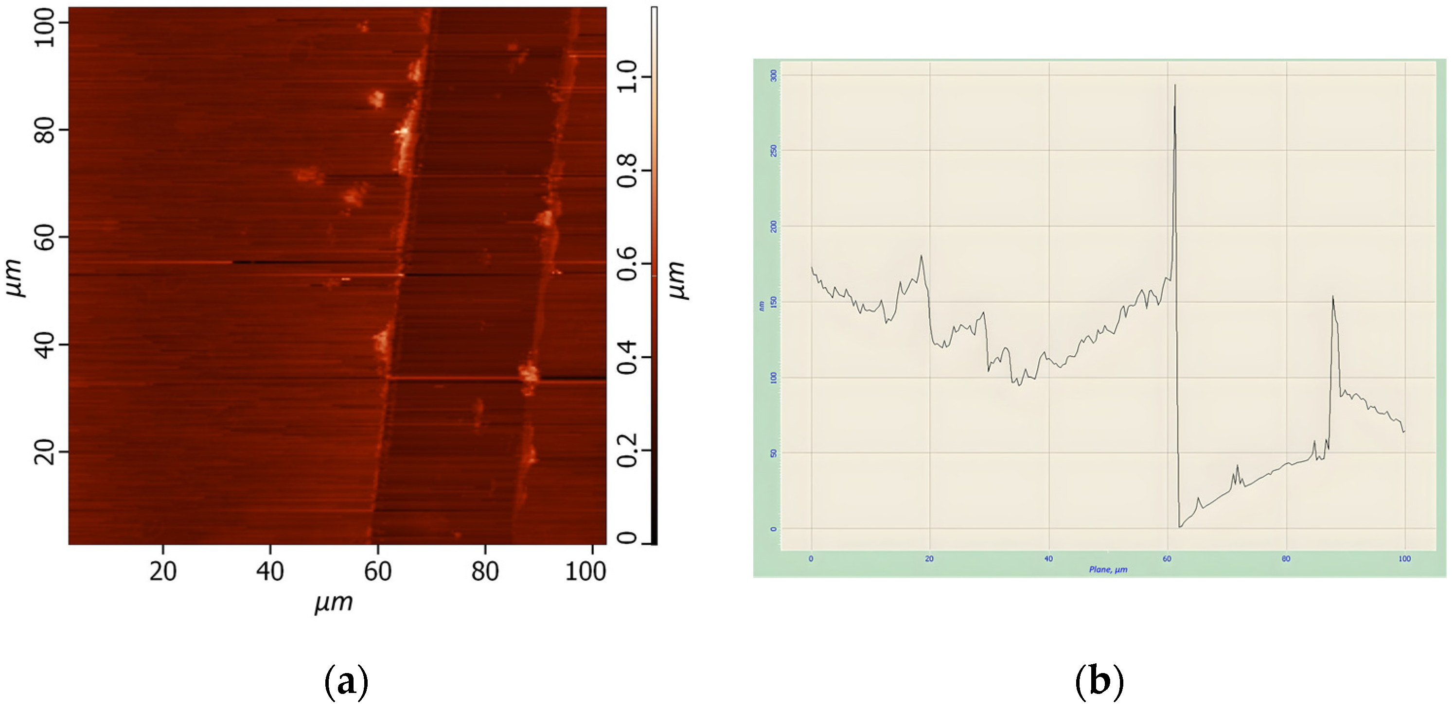 Materproc 14 00021 g004