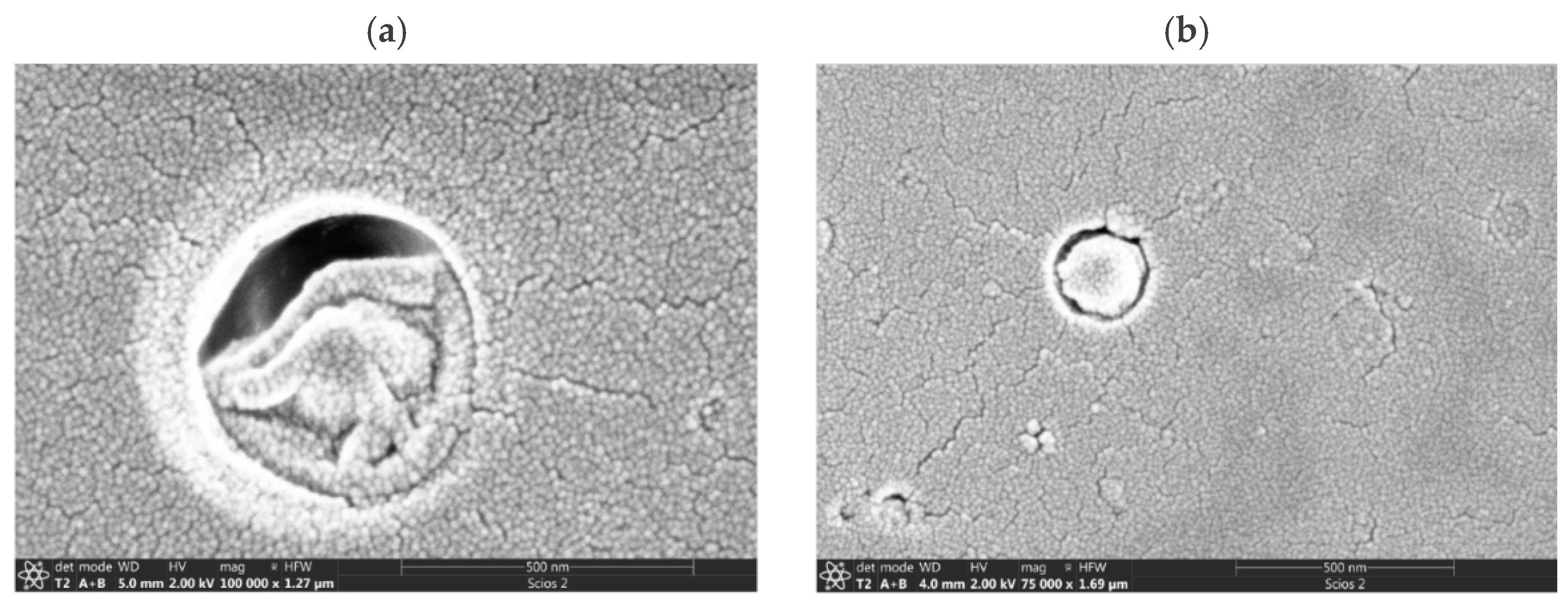 Materproc 14 00031 g002