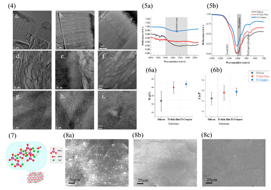 Materproc 14 00034 g002 550