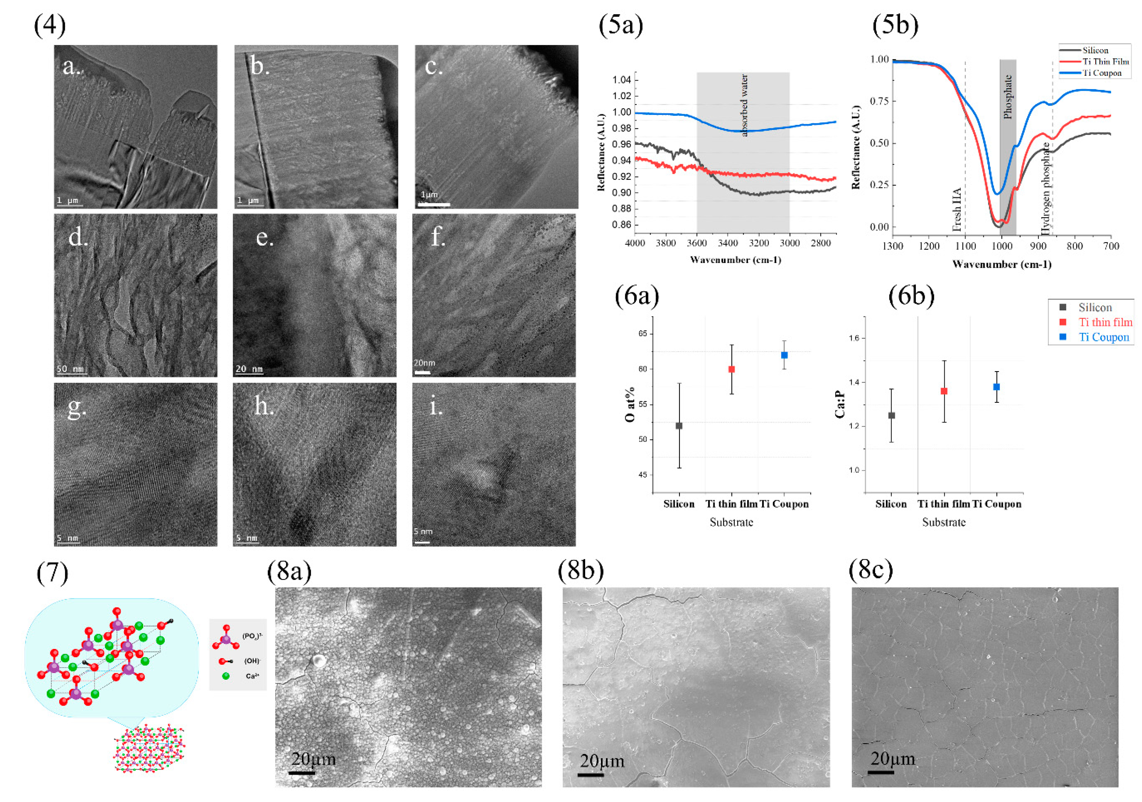 Materproc 14 00034 g002