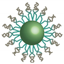 Materproc 14 00057 i011