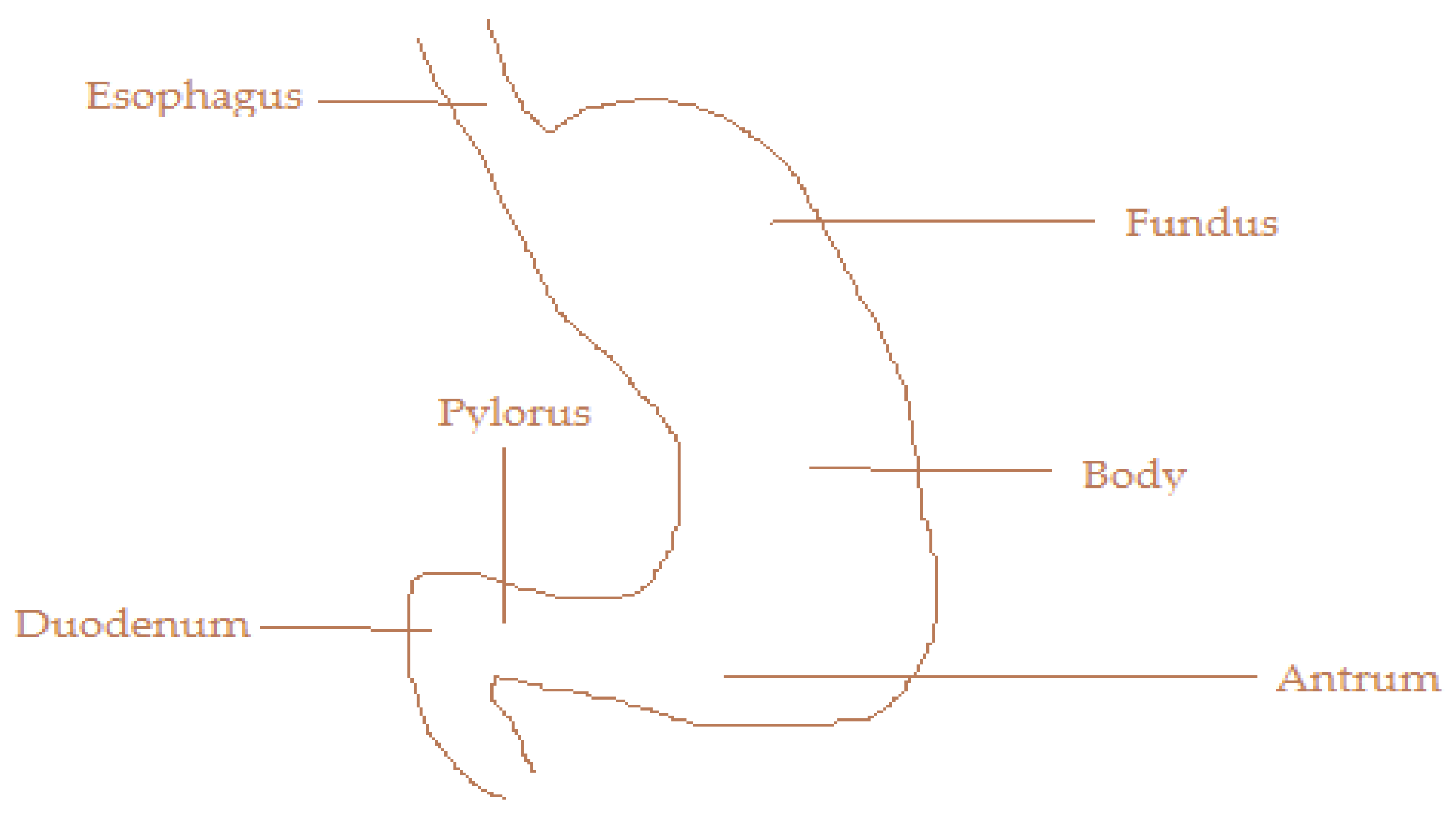 Materproc 14 00063 g001