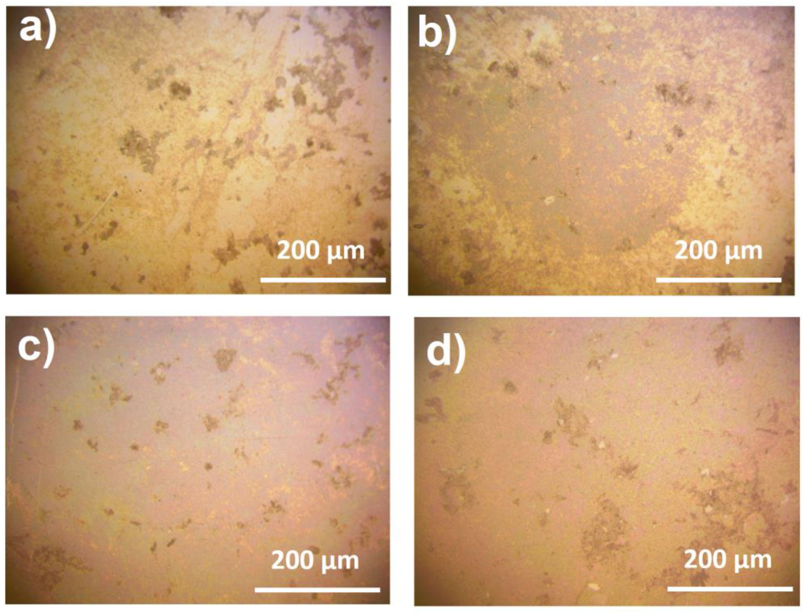 Materproc 14 00064 g002