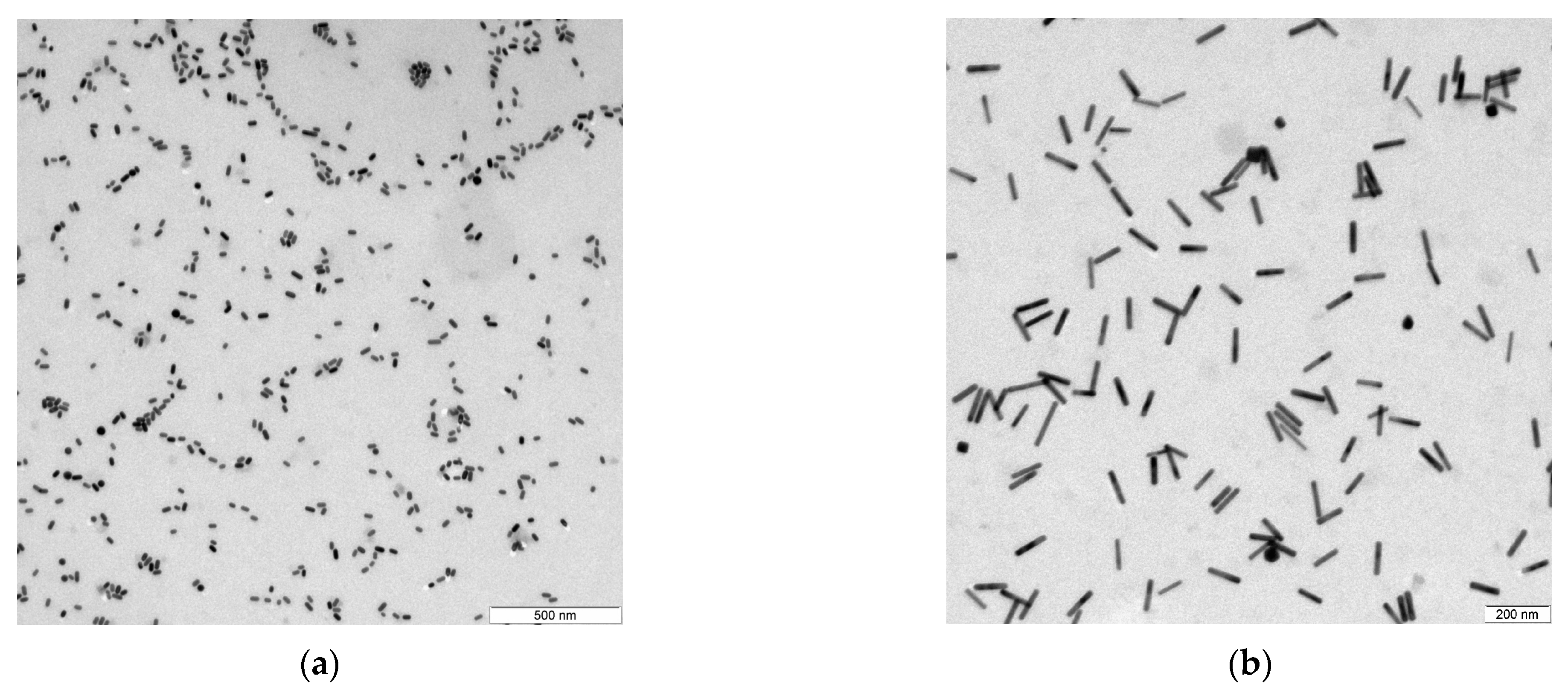 Materproc 14 00065 g001