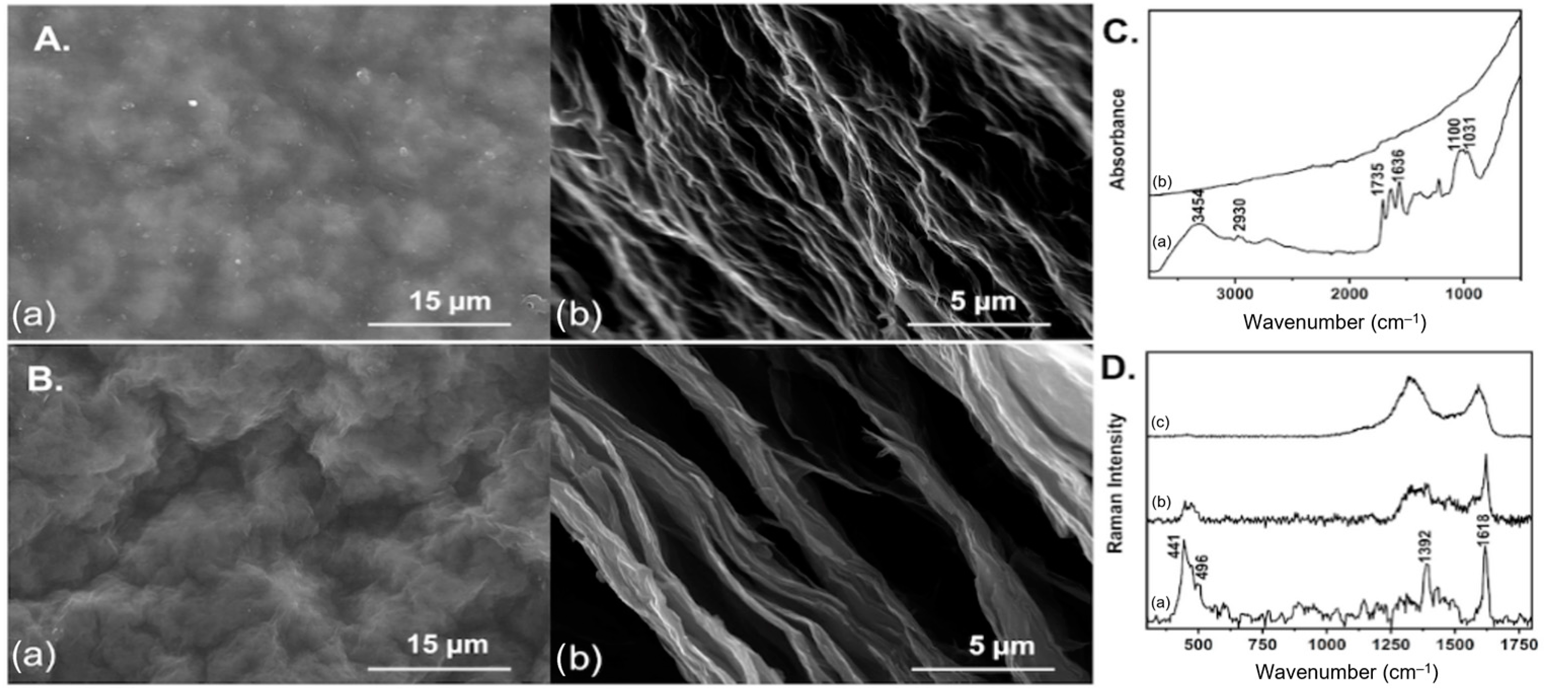 Materproc 14 00075 g002