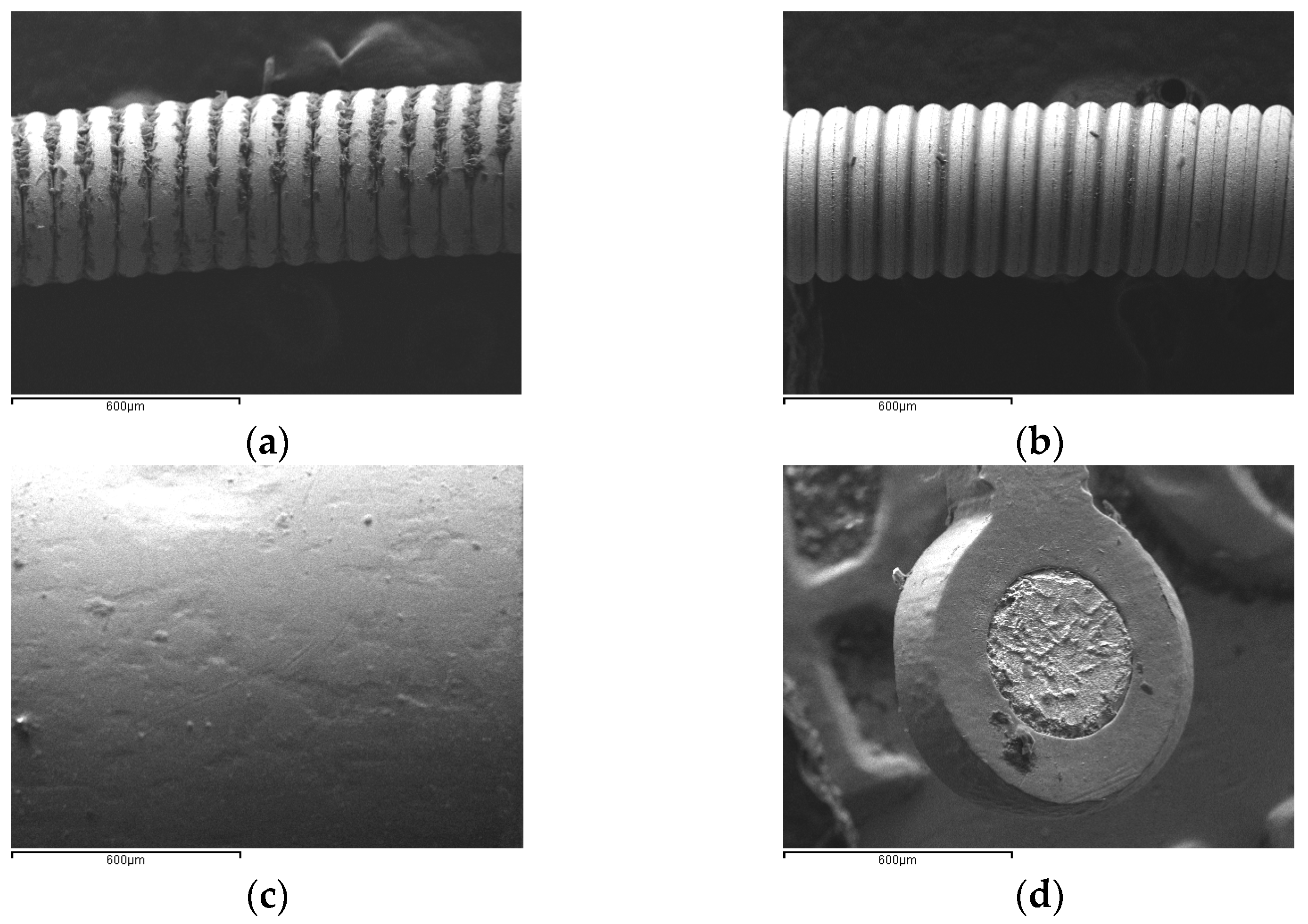 Materproc 15 00027 g001