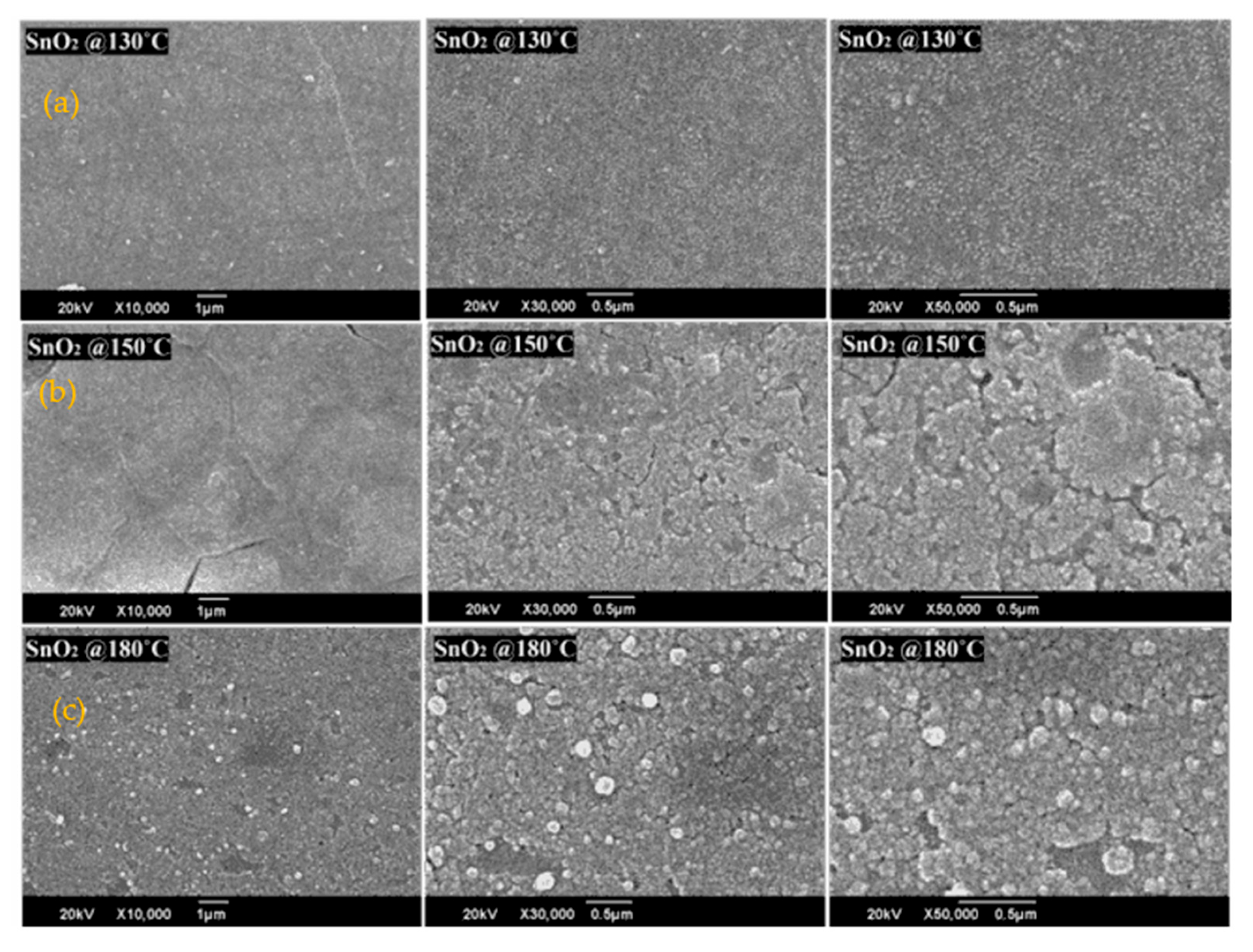 Materproc 17 00028 g002