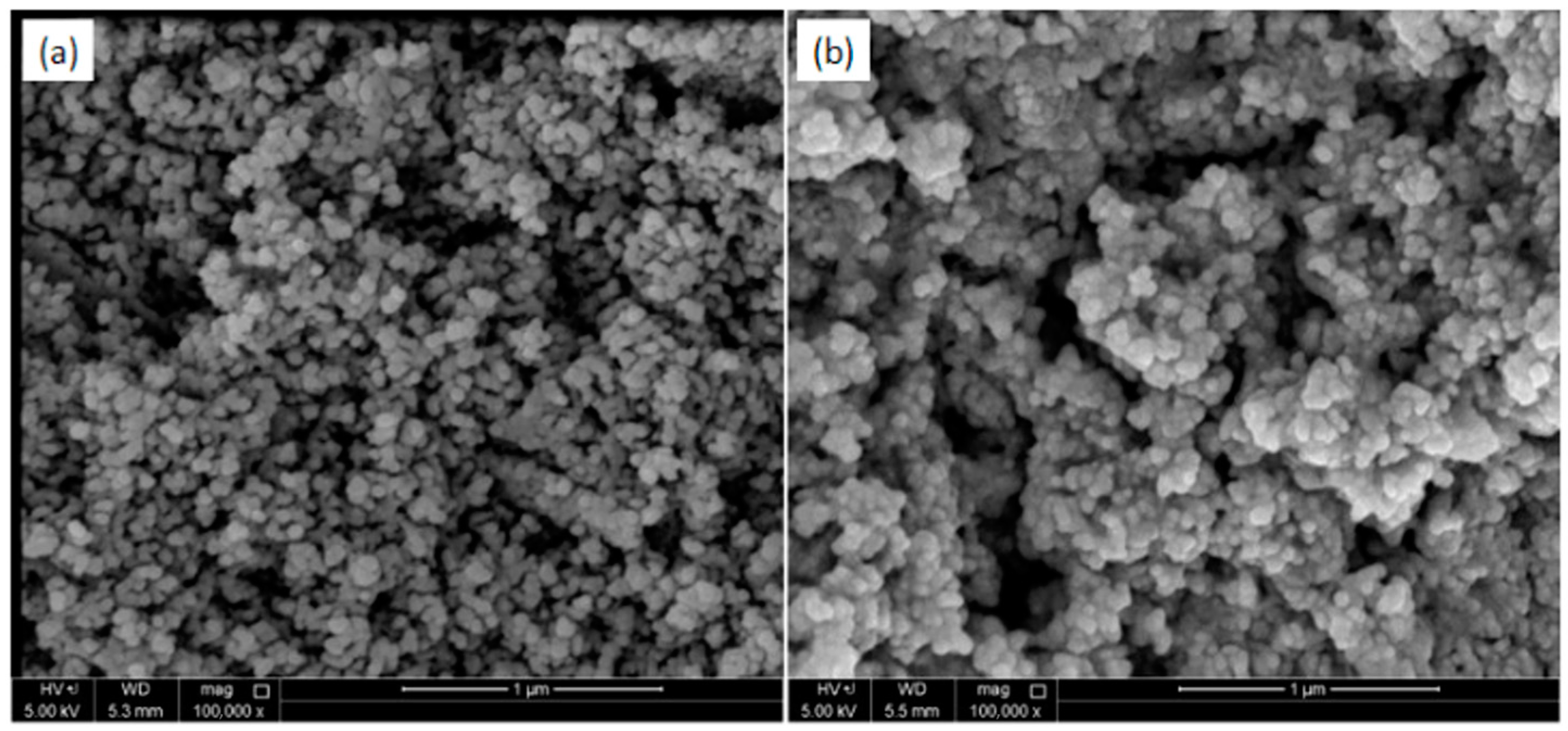 Materproc 18 00001 g003