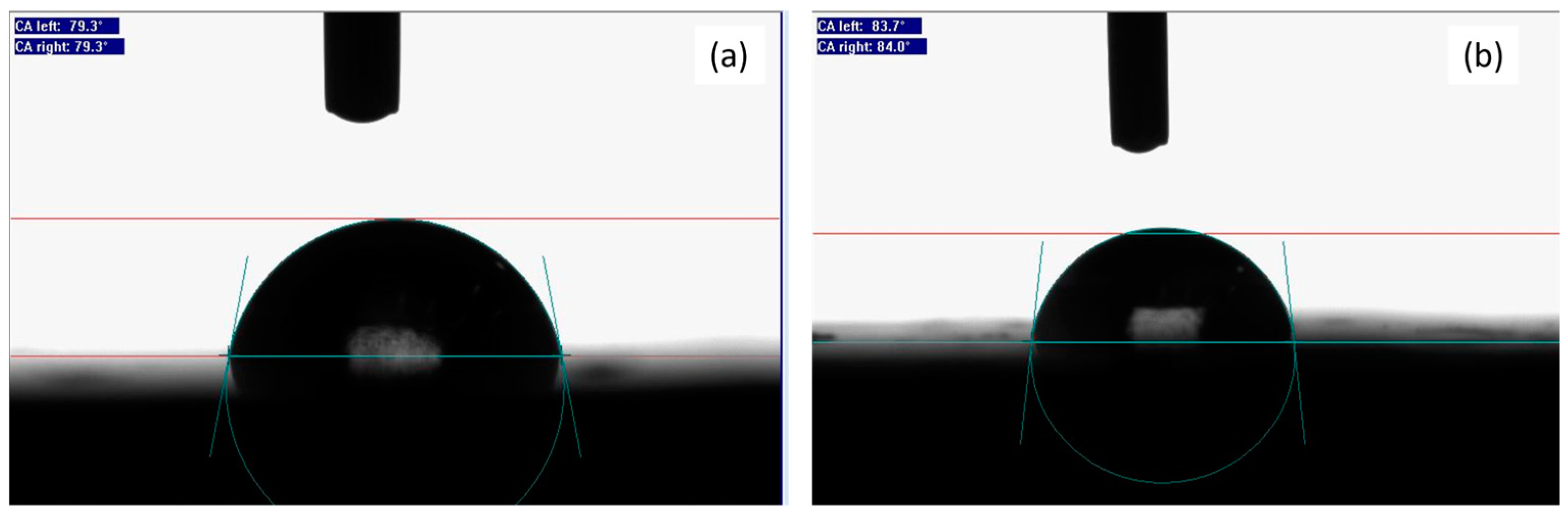 Materproc 18 00001 g004