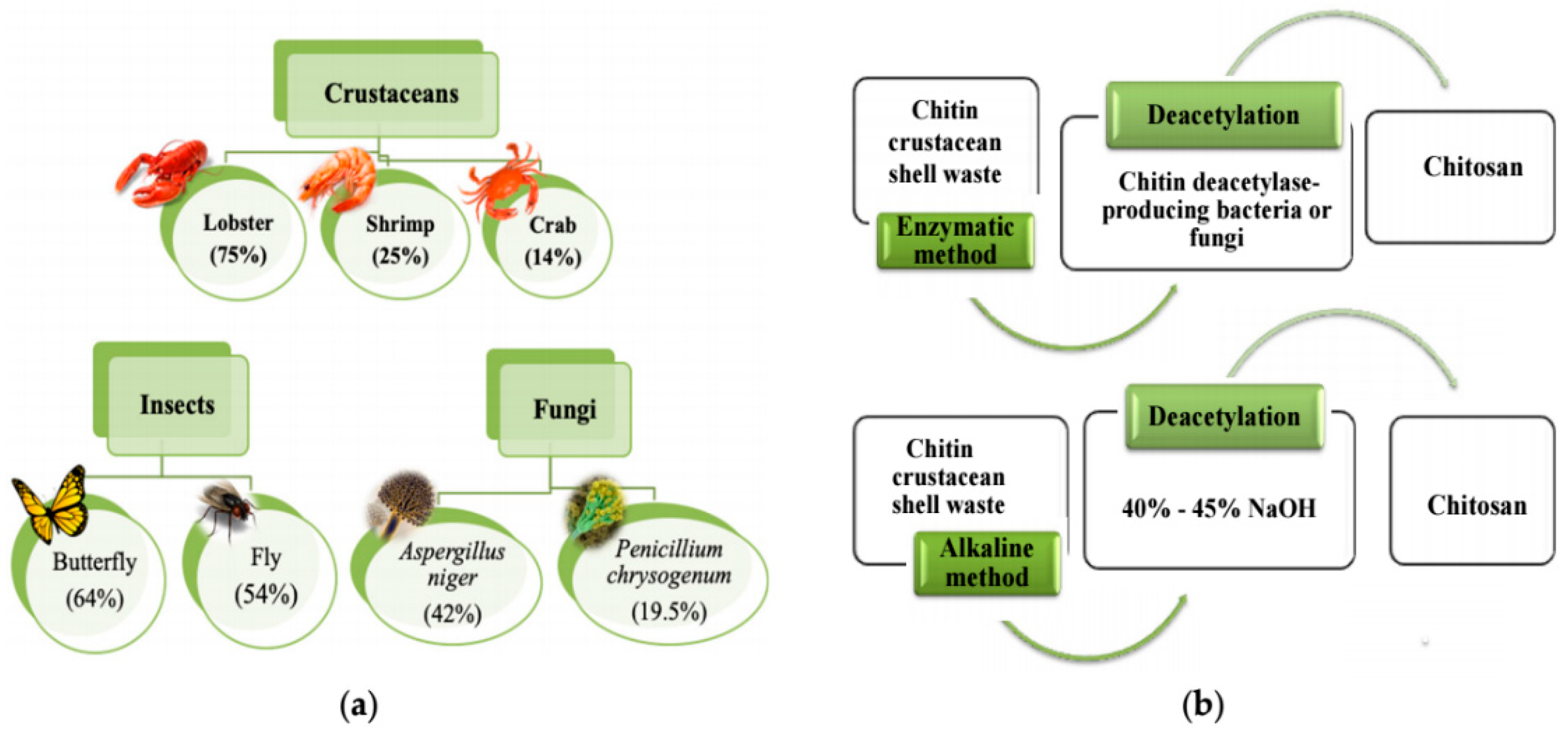 Materproc 18 00010 g002 Materproc 18 00010 g002