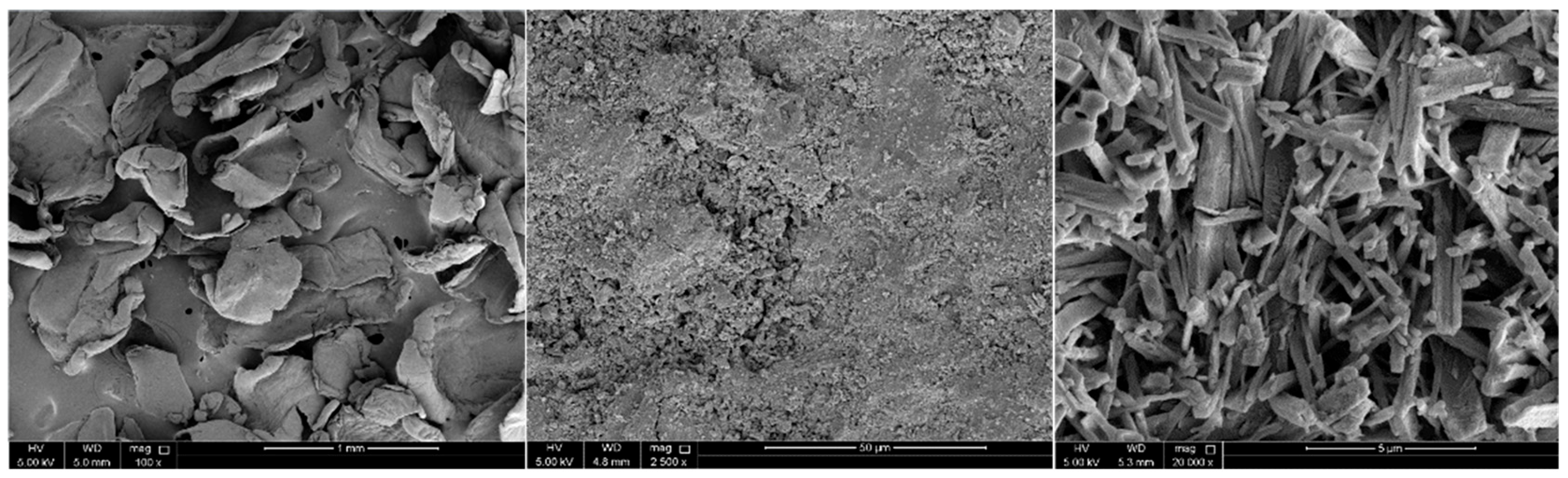 Materproc 18 00010 g004 Materproc 18 00010 g004