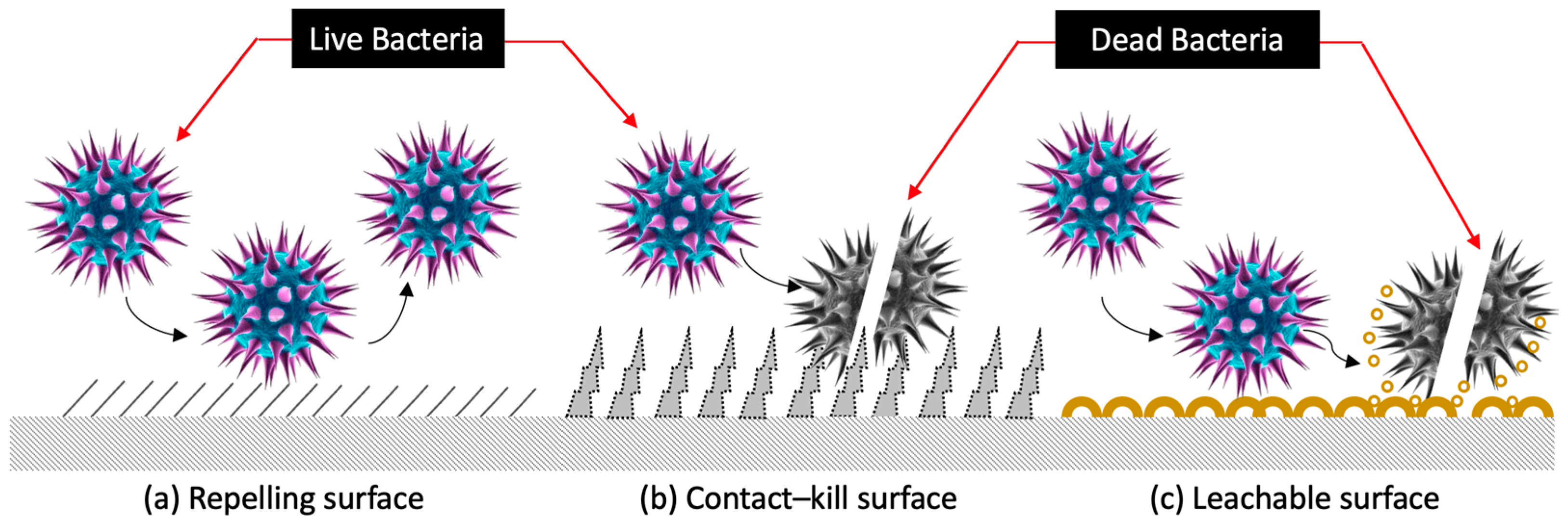 Materproc 25 00011 g001