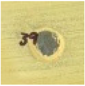 Materproc 27 00005 i002