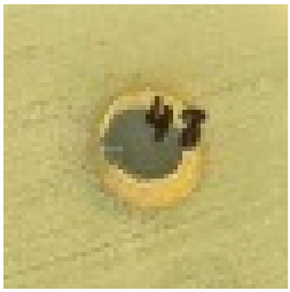 Materproc 27 00005 i003