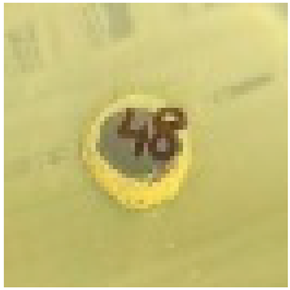 Materproc 27 00005 i007