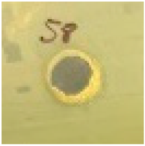 Materproc 27 00005 i008