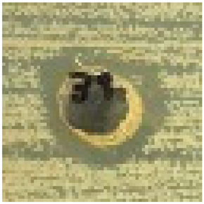 Materproc 27 00005 i010