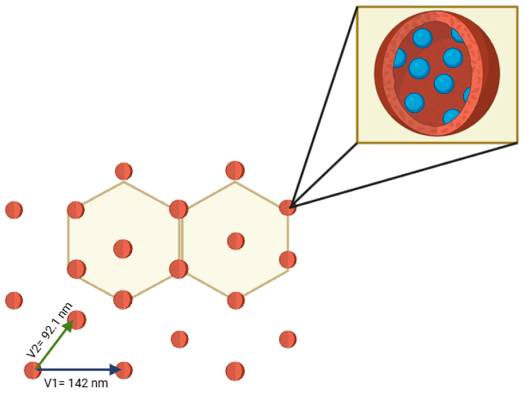 Materproc 28 00005 g003 Materproc 28 00005 g003