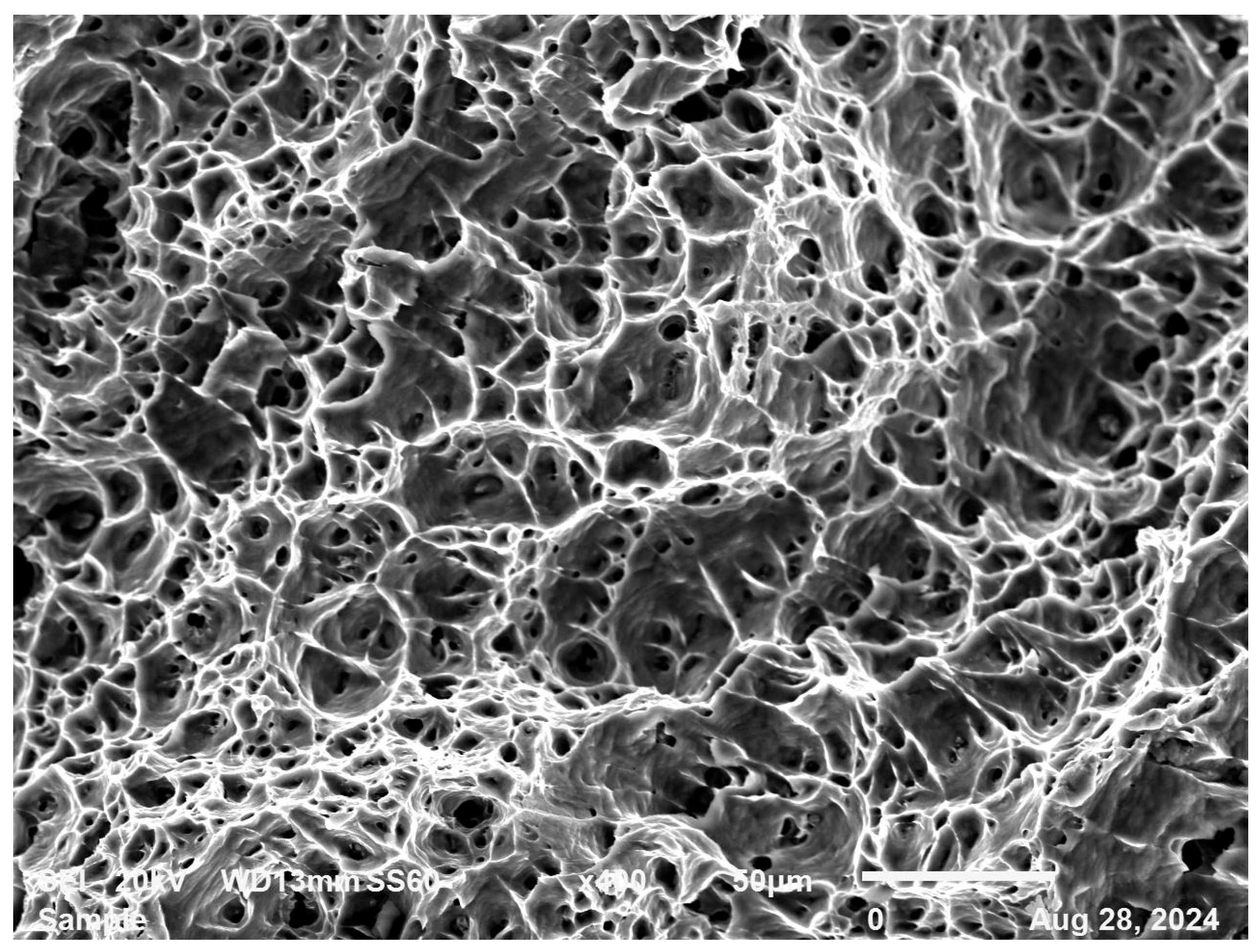 Materproc 31 00003 g010 Materproc 31 00003 g010