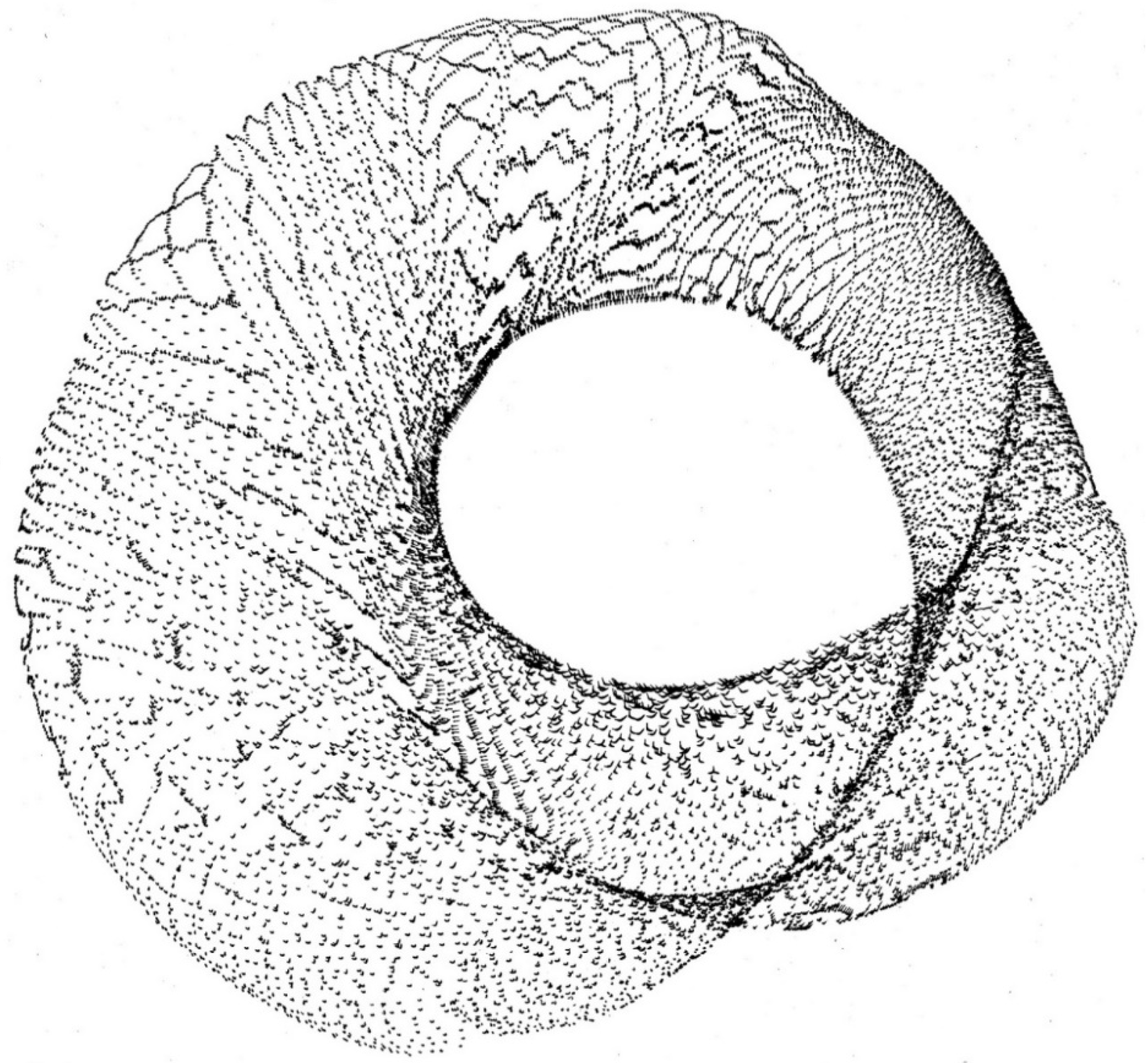 Mathematics 07 00086 g013