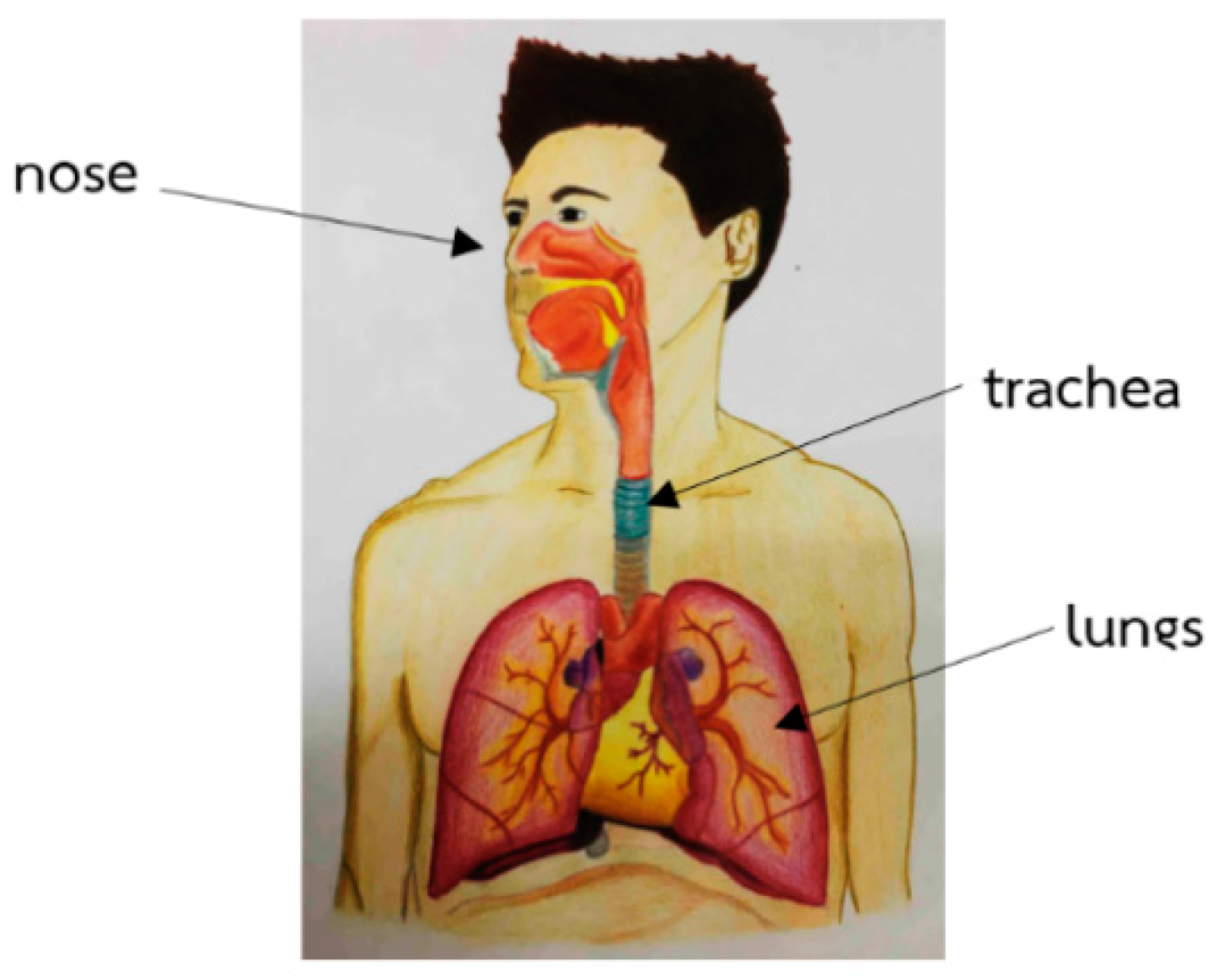 Mathematics 07 00567 g001