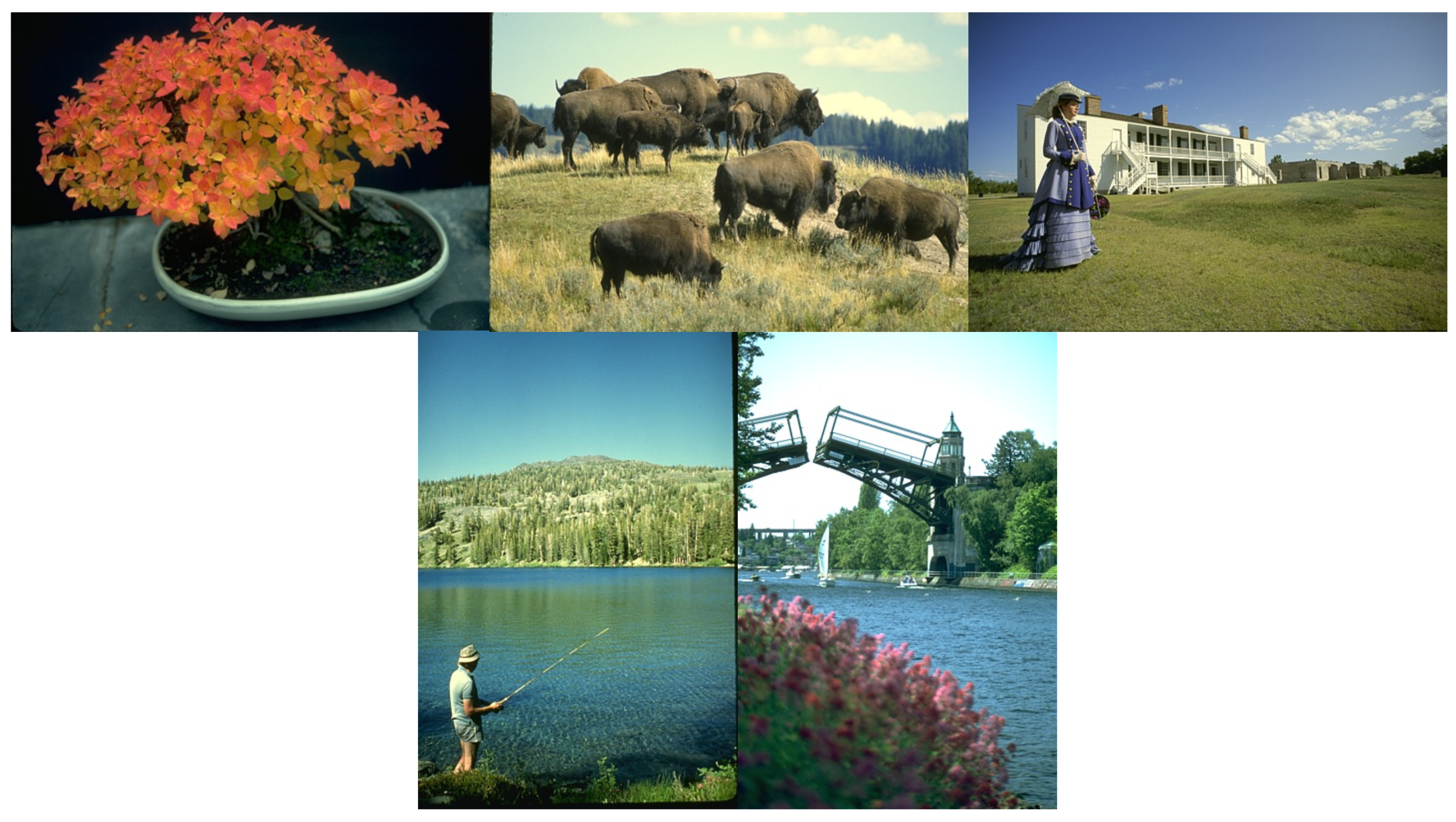 Mathematics 08 00373 g003