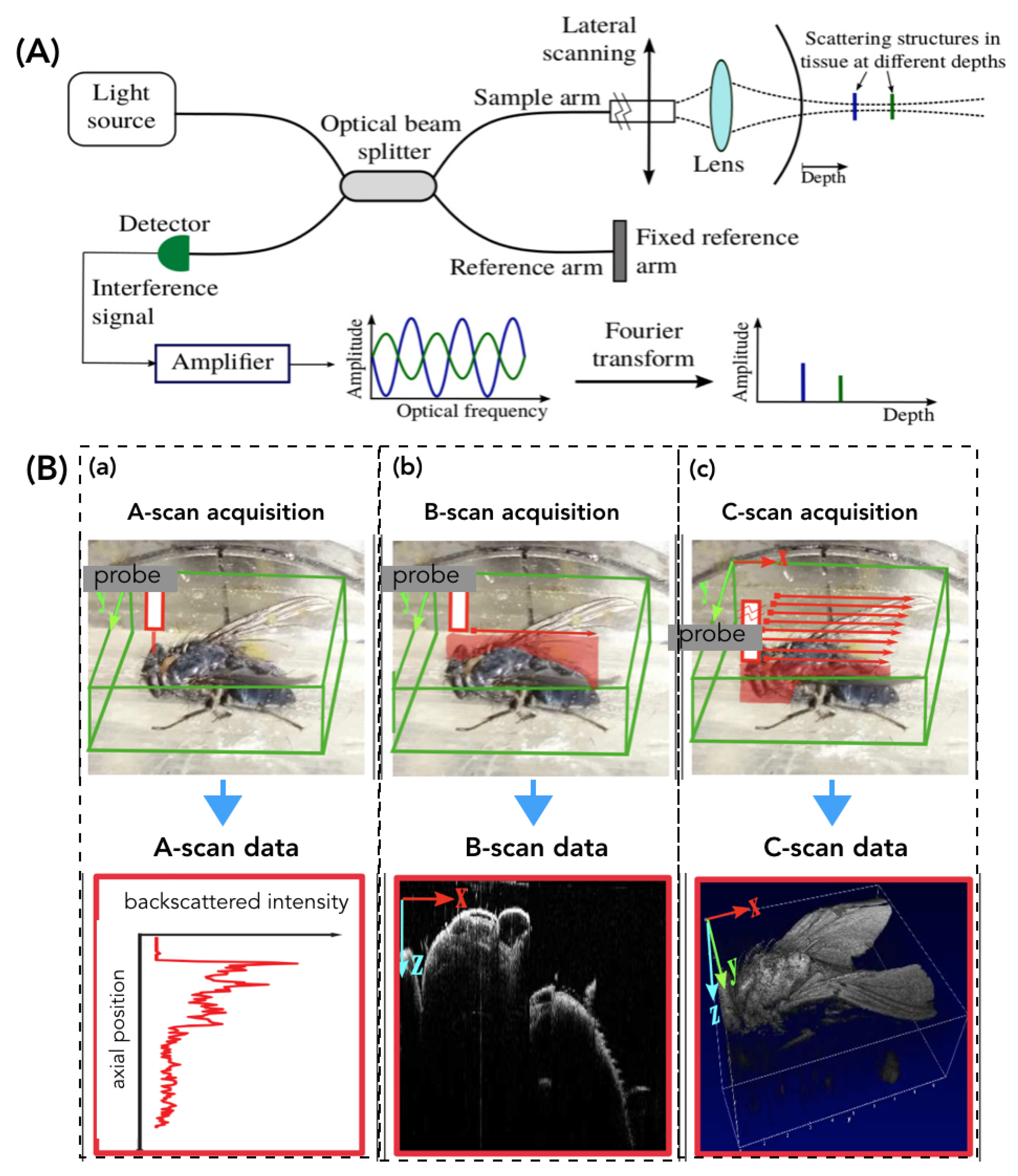 Mathematics 08 00628 g002 Mathematics 08 00628 g002