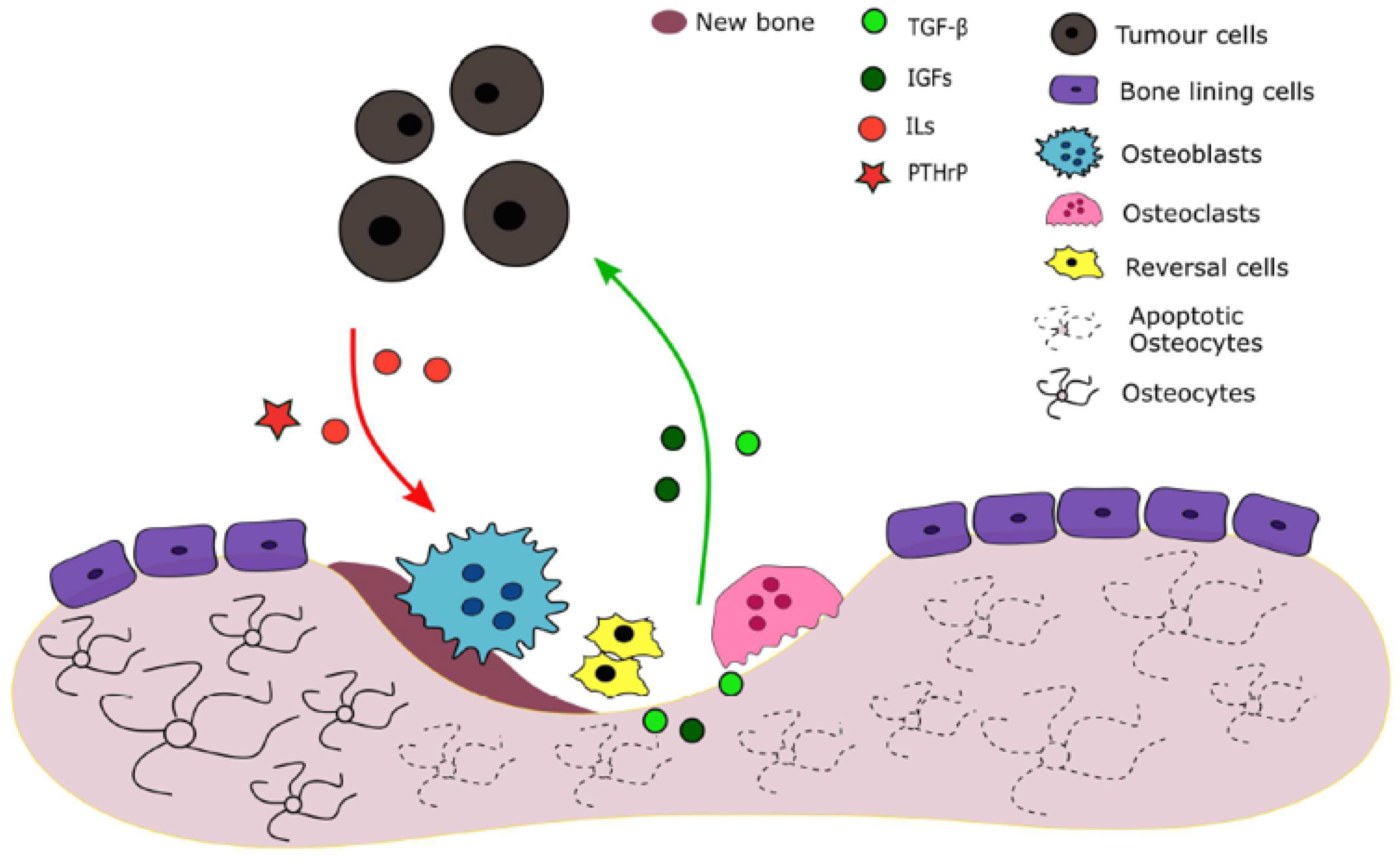 Mathematics 08 00679 g001