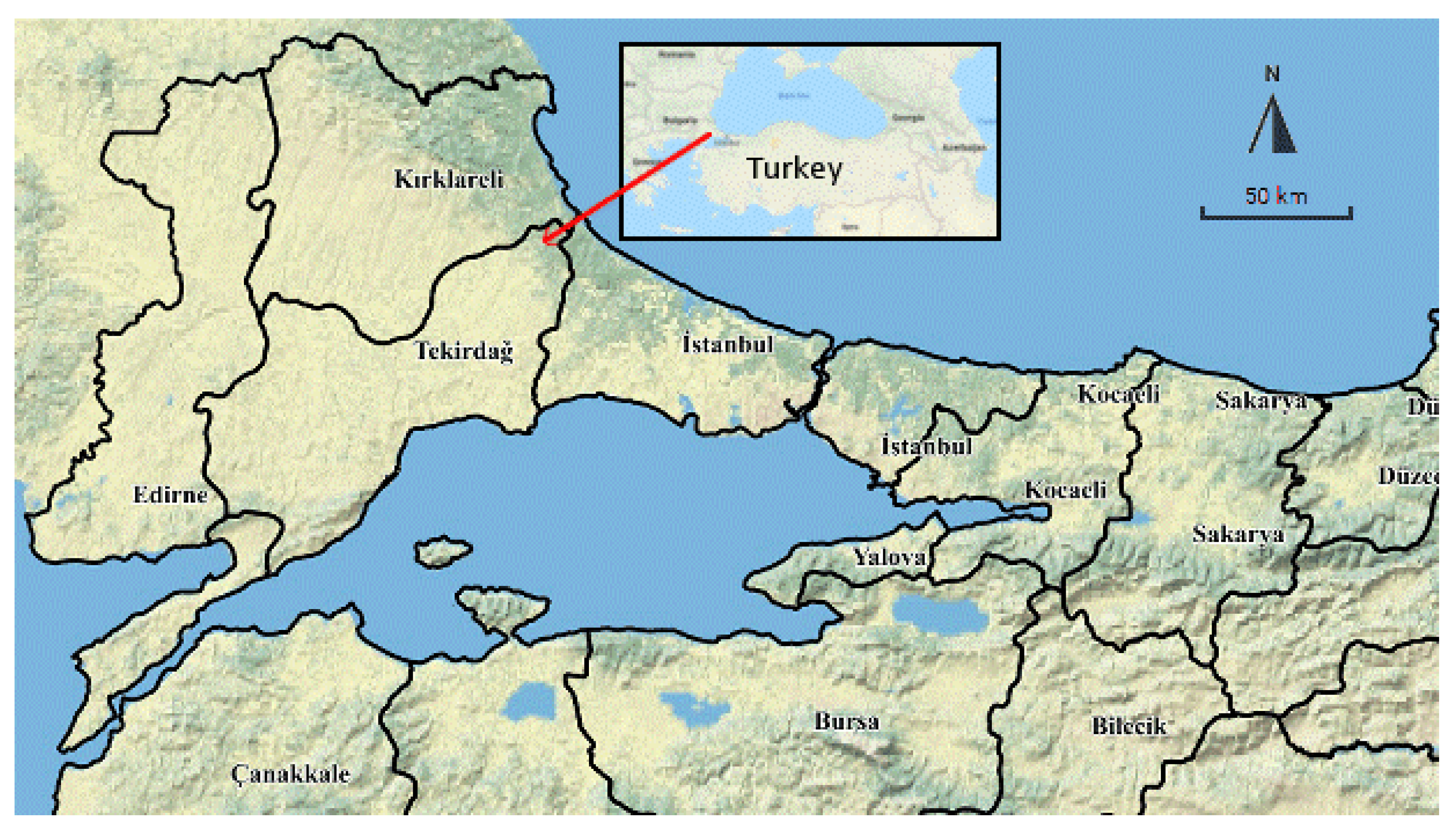 Mathematics 08 00972 g001