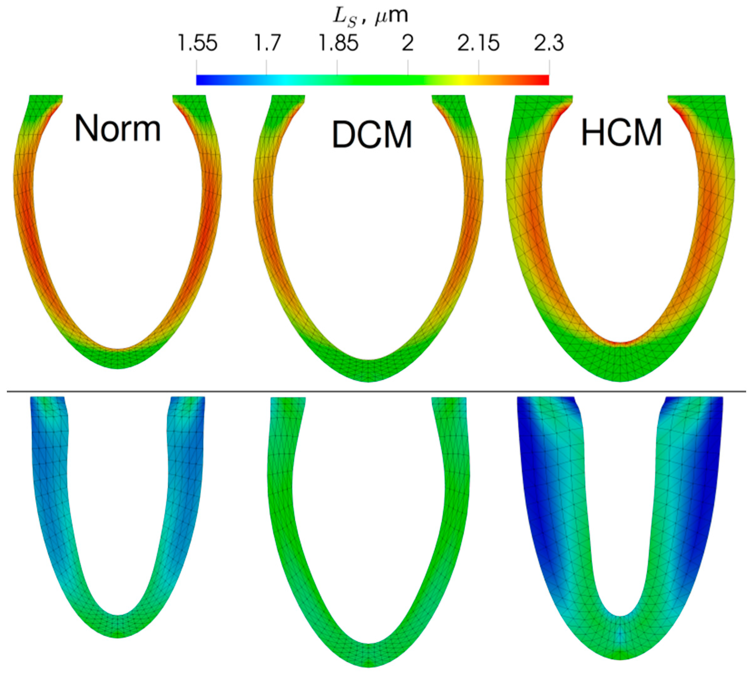 Mathematics 08 01169 g004 Mathematics 08 01169 g004