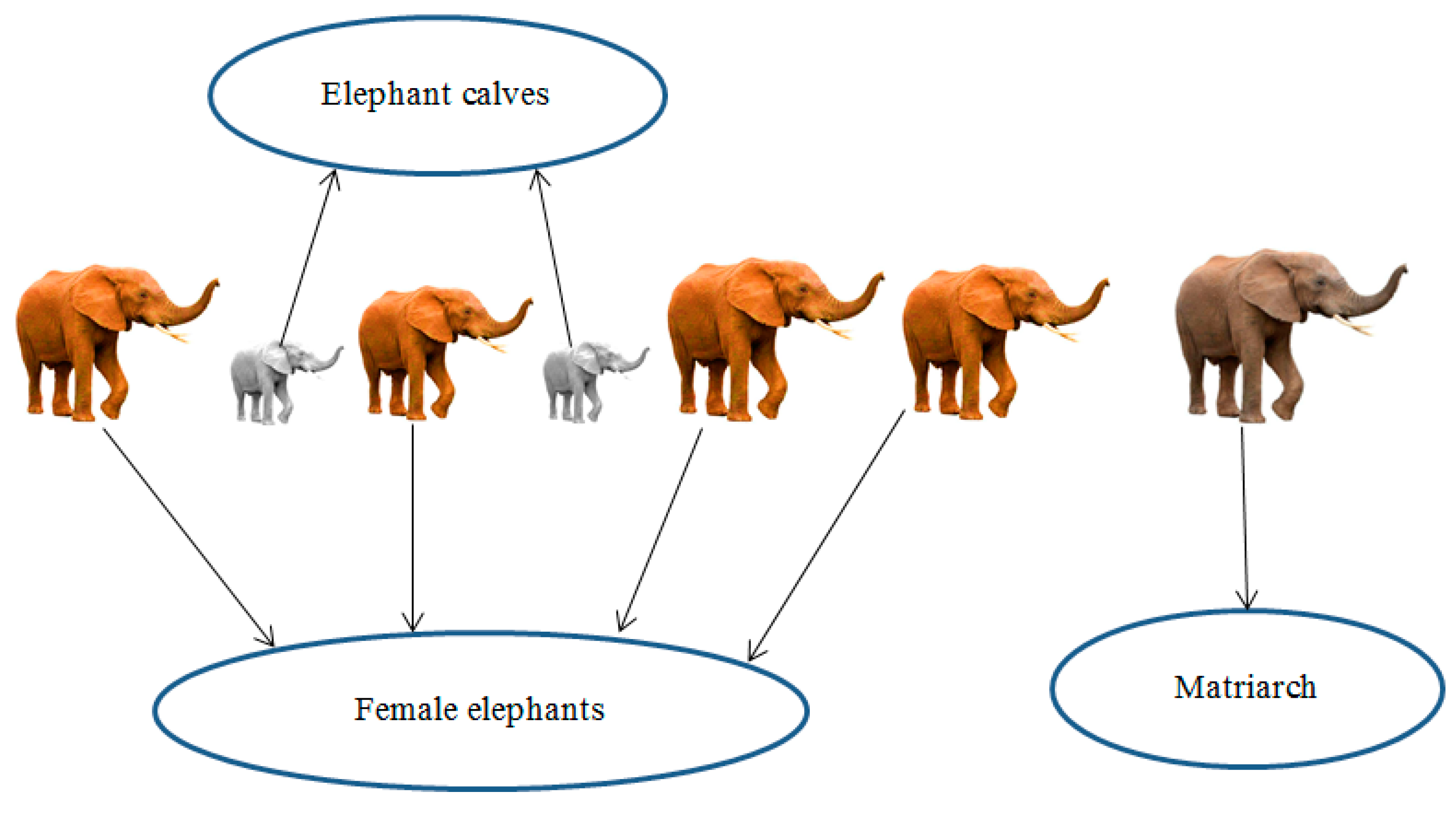Mathematics 08 01415 g002