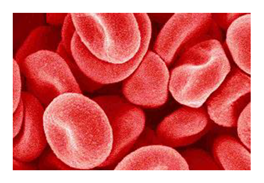 Mathematics 08 01730 i003 Mathematics 08 01730 i003