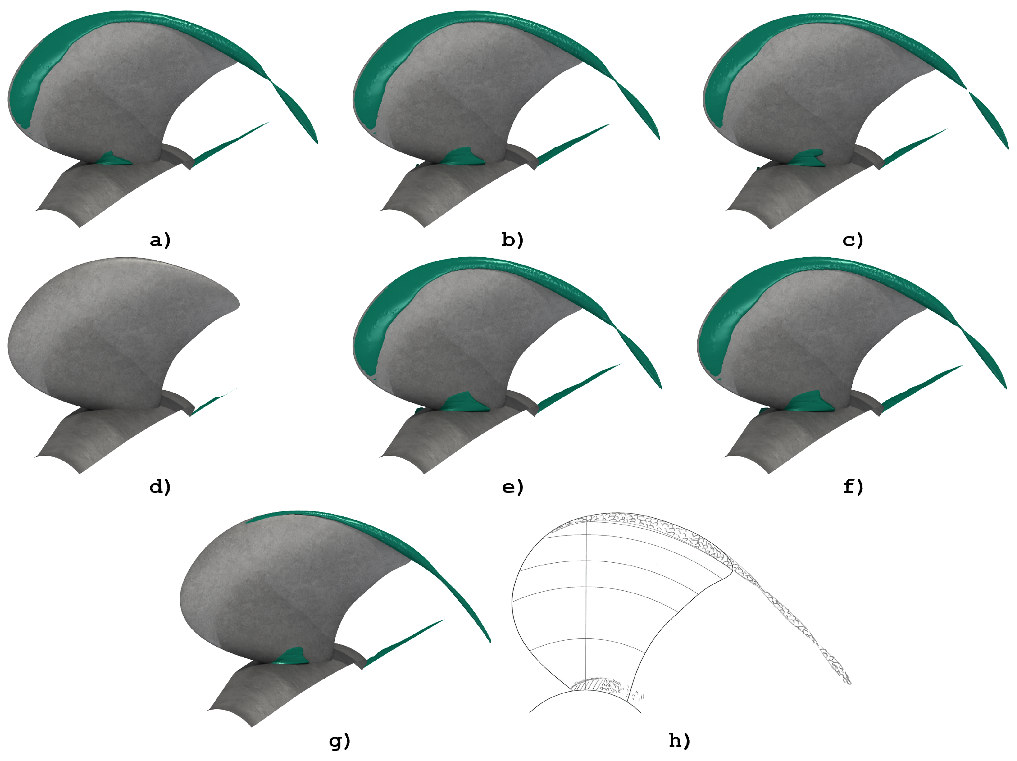 Mathematics 08 02107 g004