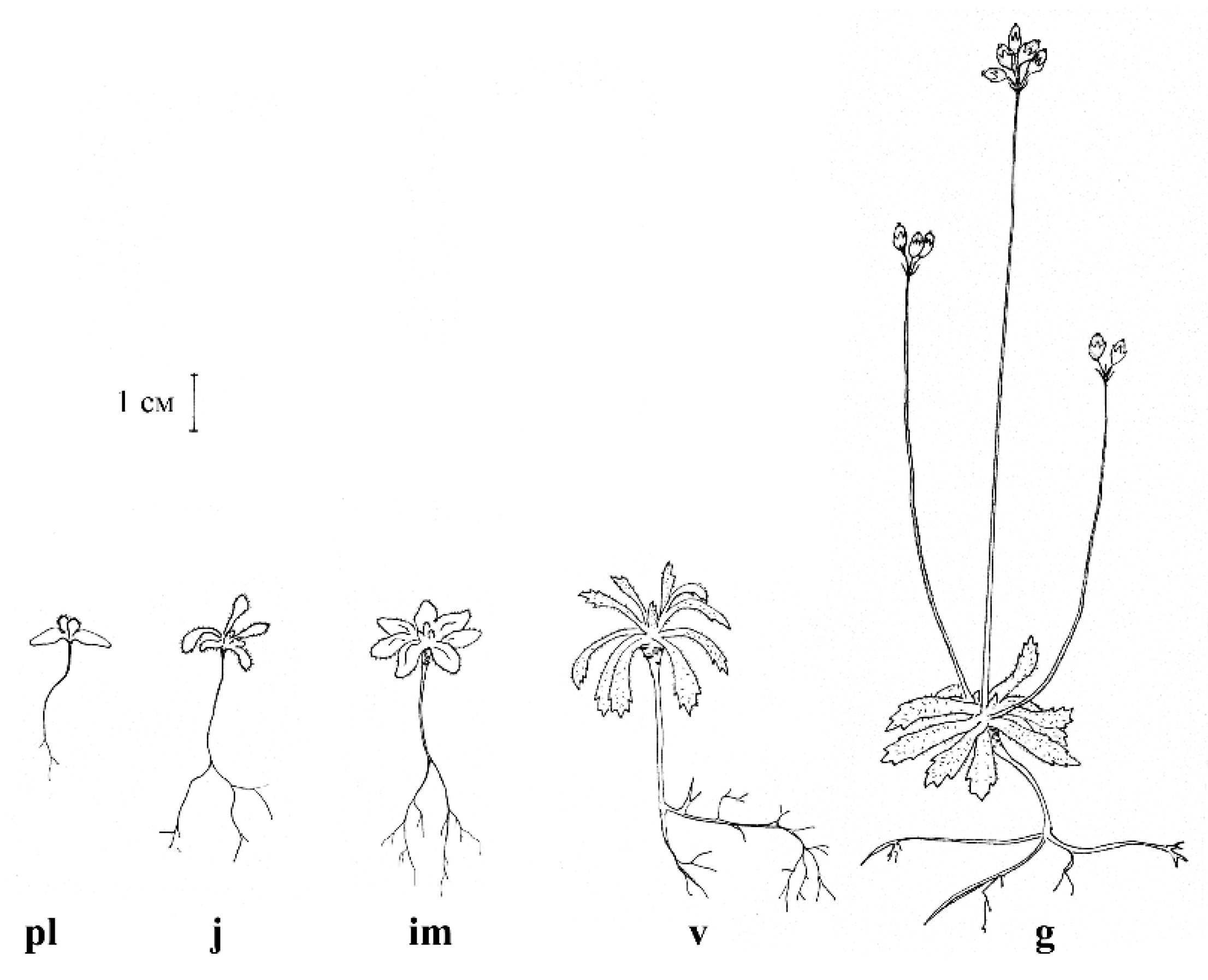 Mathematics 08 02252 g001 Mathematics 08 02252 g001