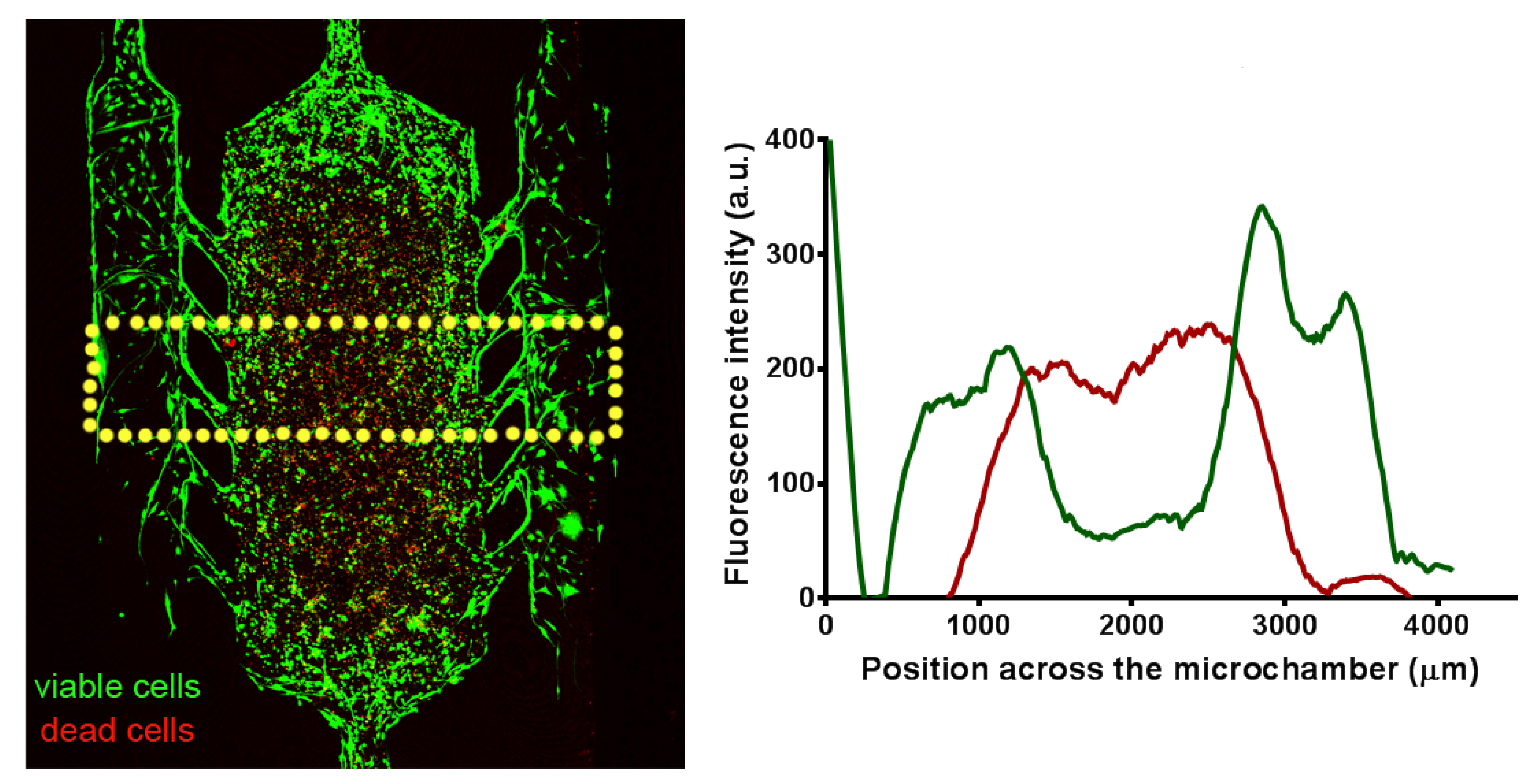 Mathematics 09 00027 g001
