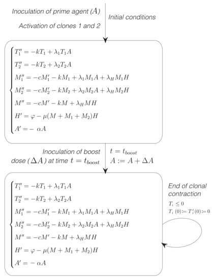 Mathematics 09 00028 g0a1