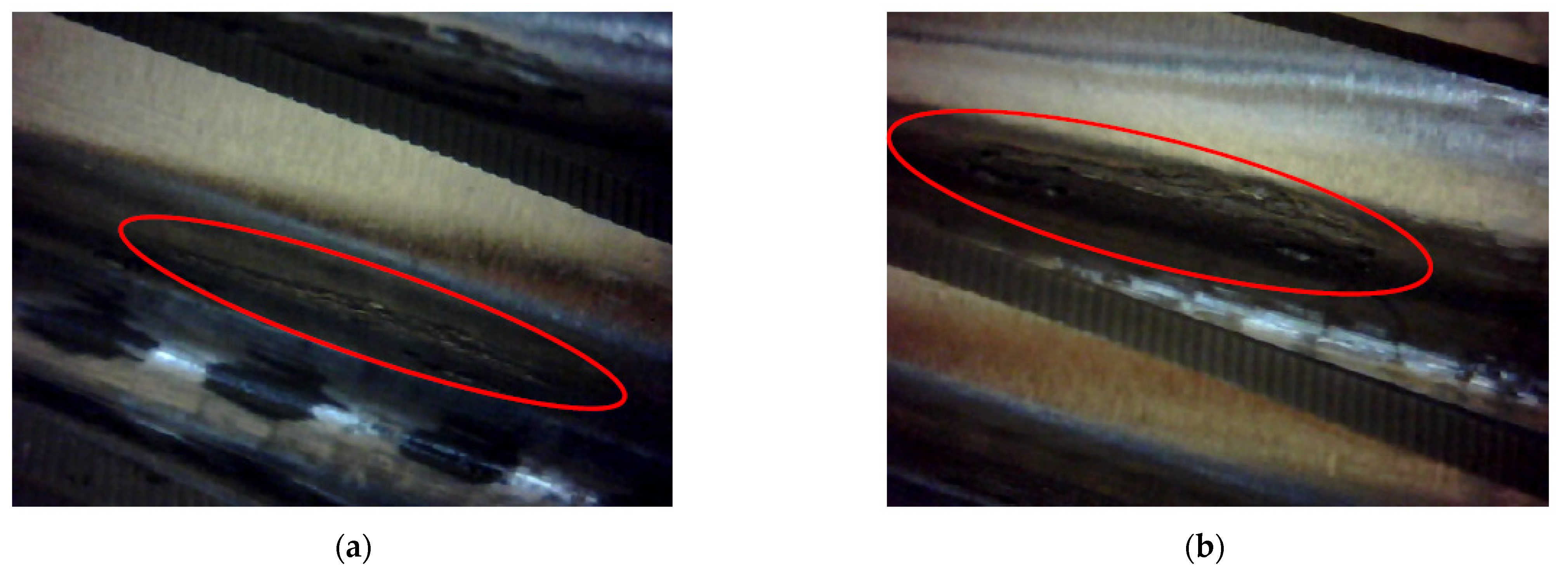 Mathematics 09 00213 g016