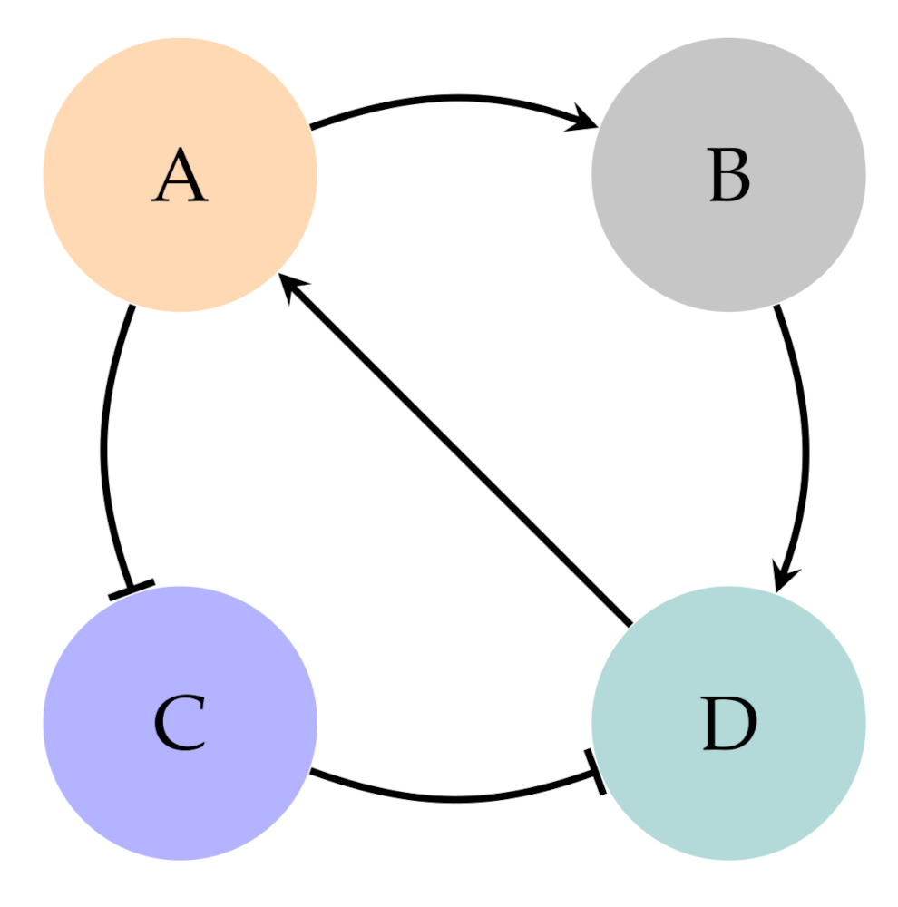 Mathematics 09 00373 g003