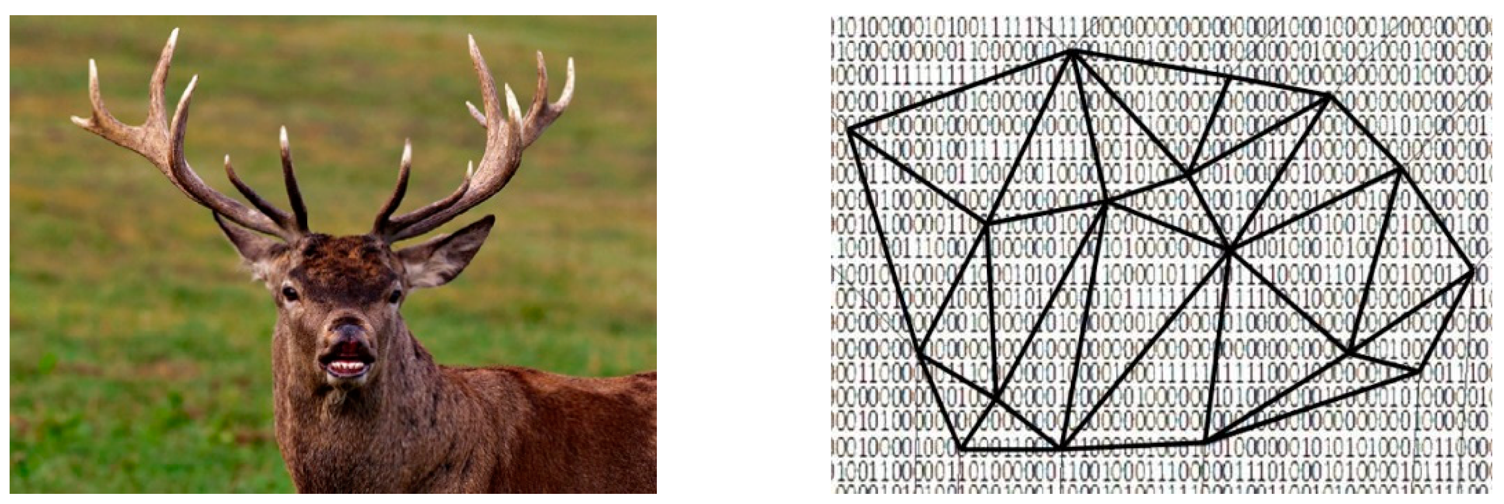 Mathematics 09 01172 g005 Mathematics 09 01172 g005