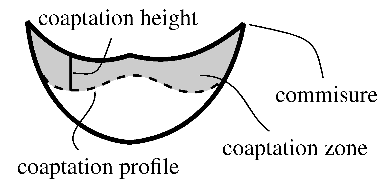 Mathematics 09 01450 g007