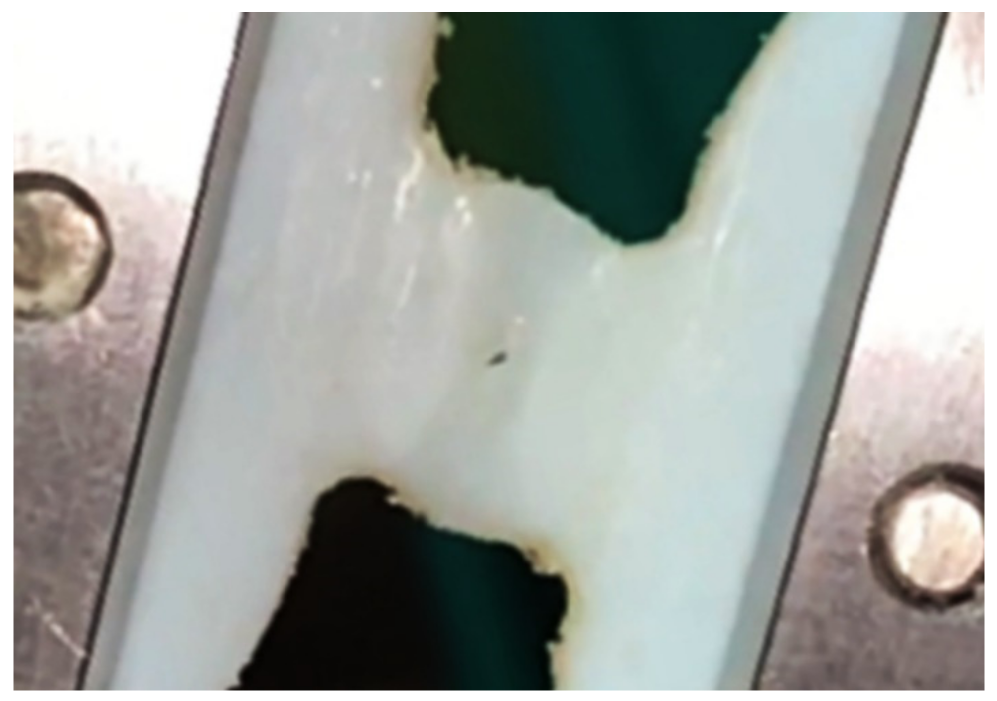 Mathematics 09 01495 g010