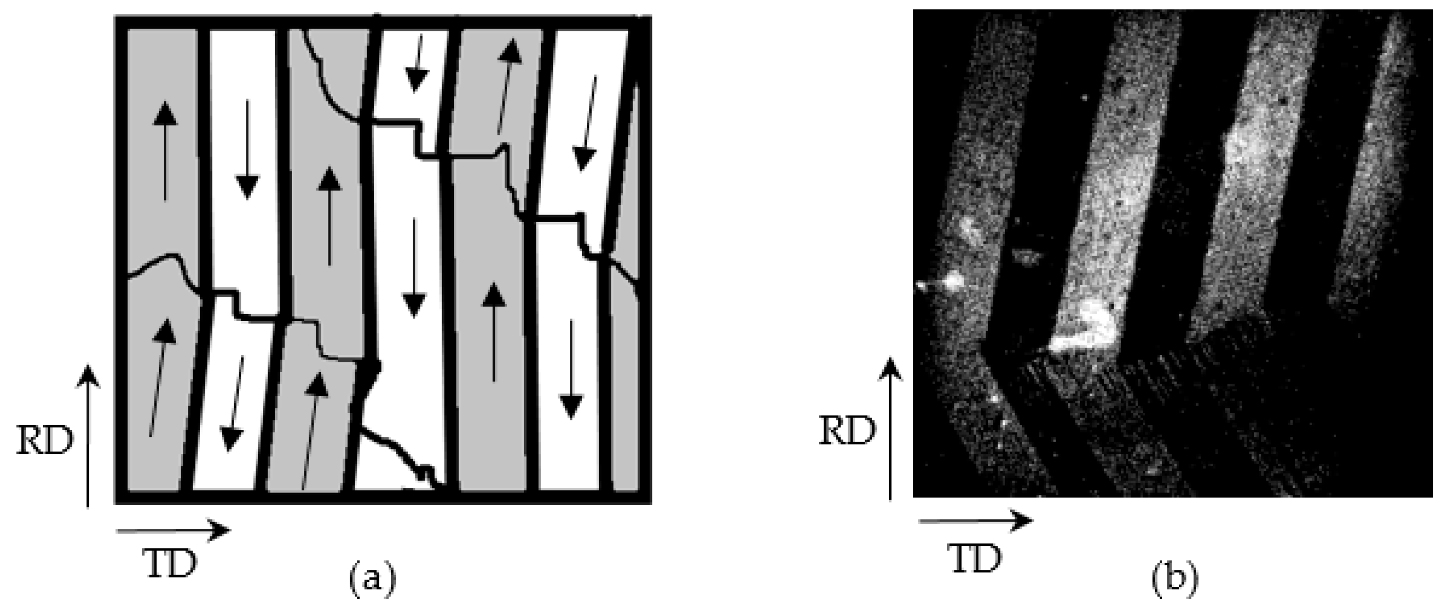 Mathematics 09 01539 g004