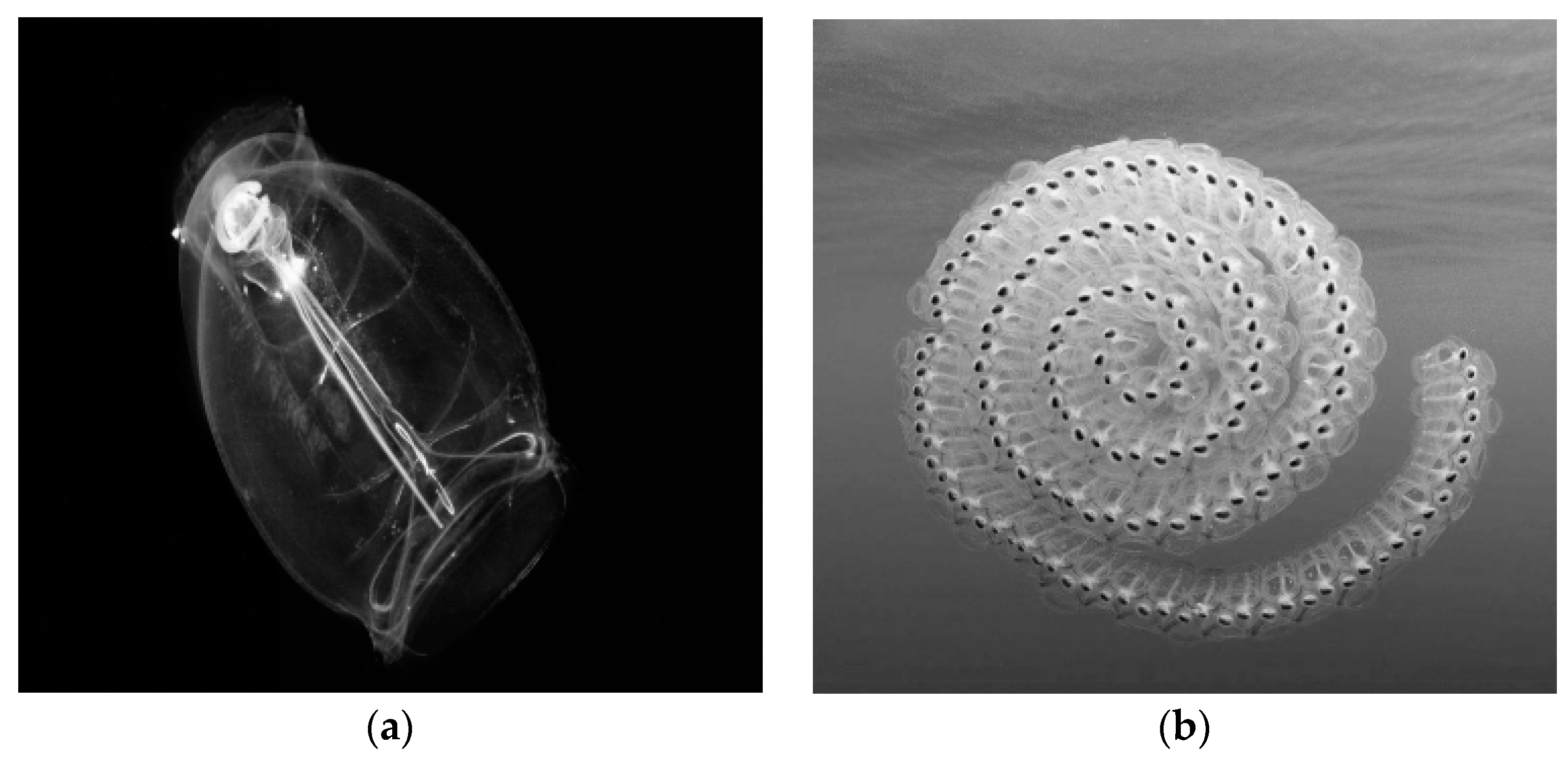 Mathematics 09 01645 g006