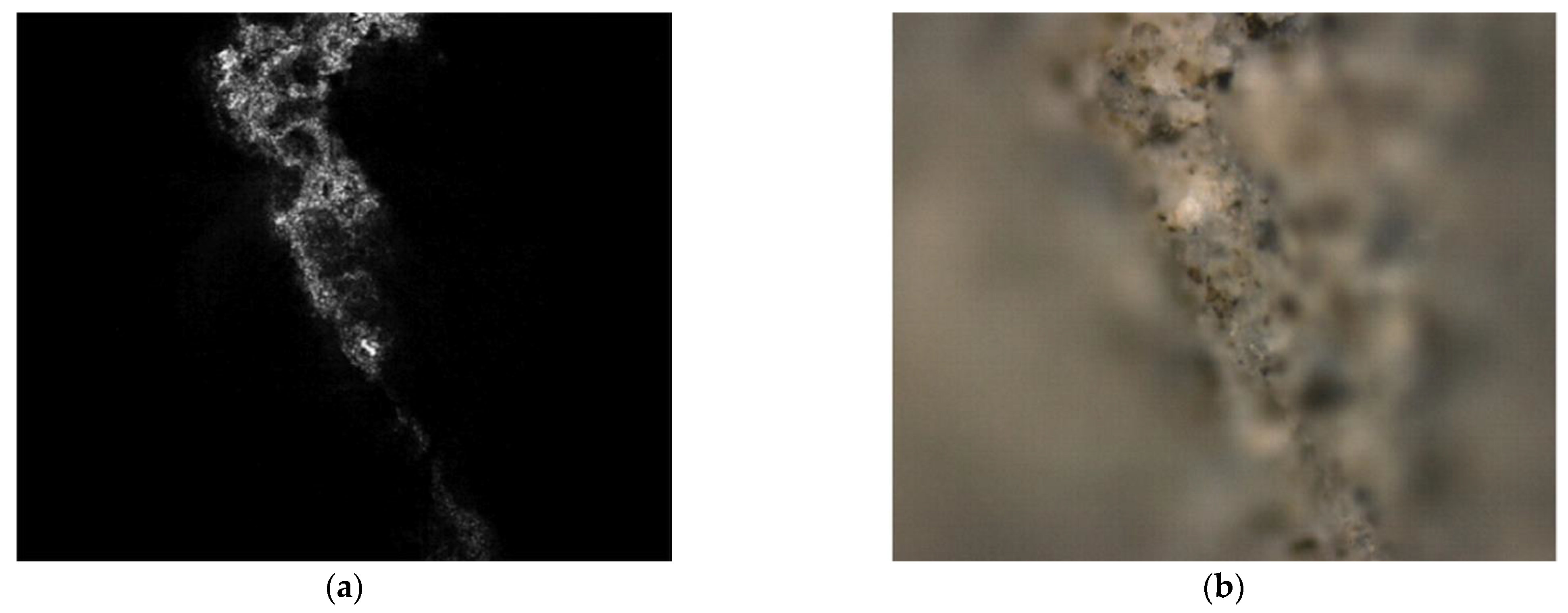 Mathematics 09 02253 g001