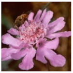 Mathematics 09 02360 i035