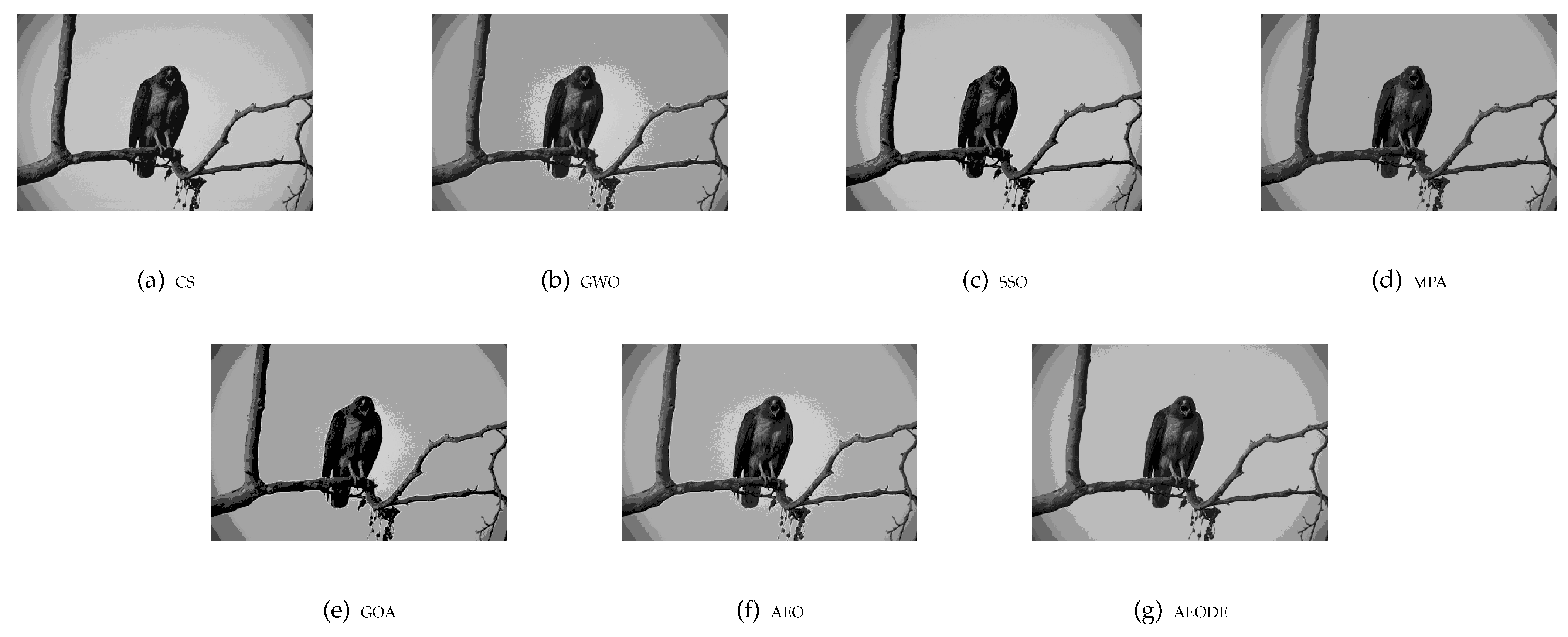 Mathematics 09 02363 g009