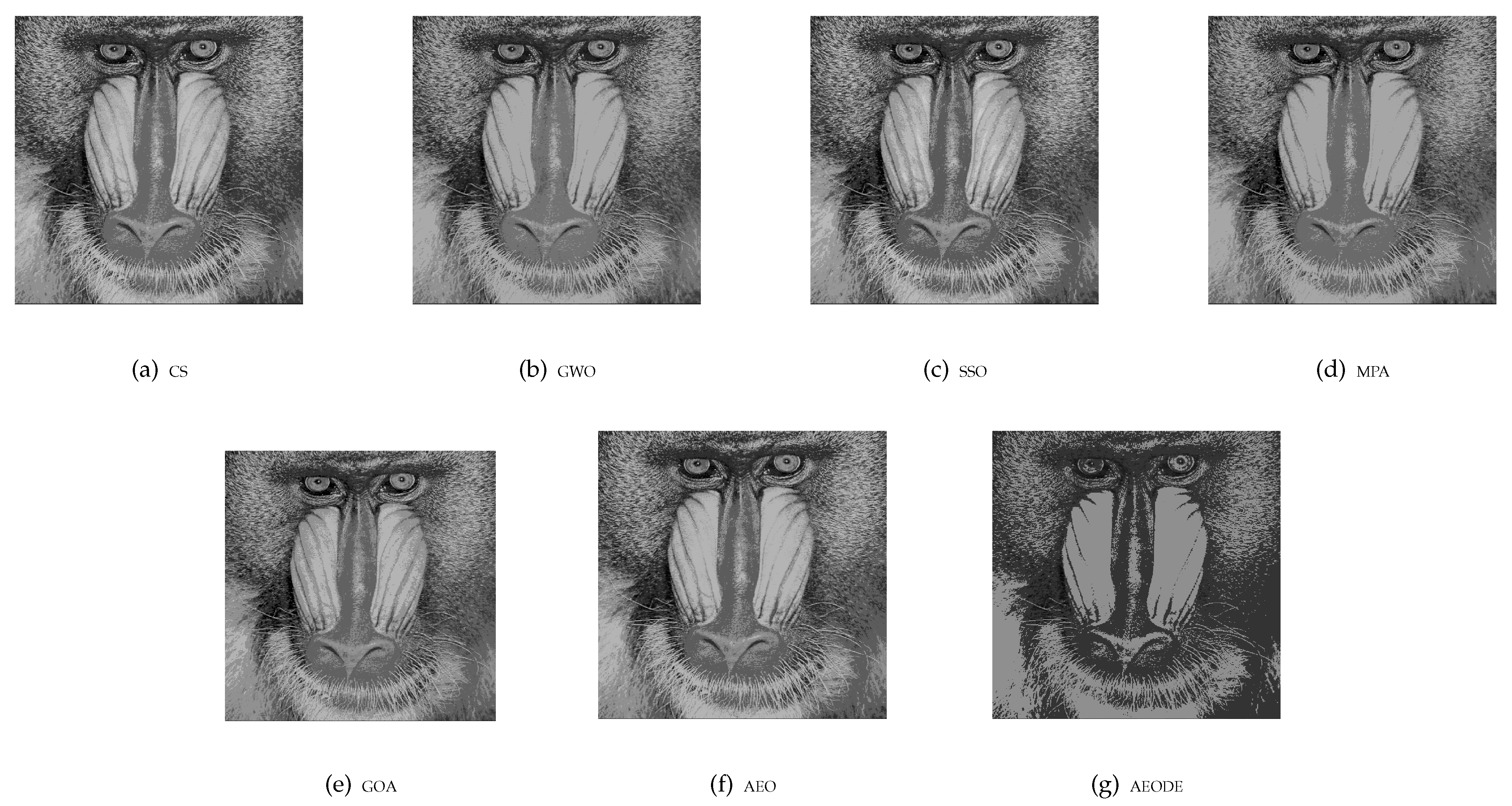 Mathematics 09 02363 g013