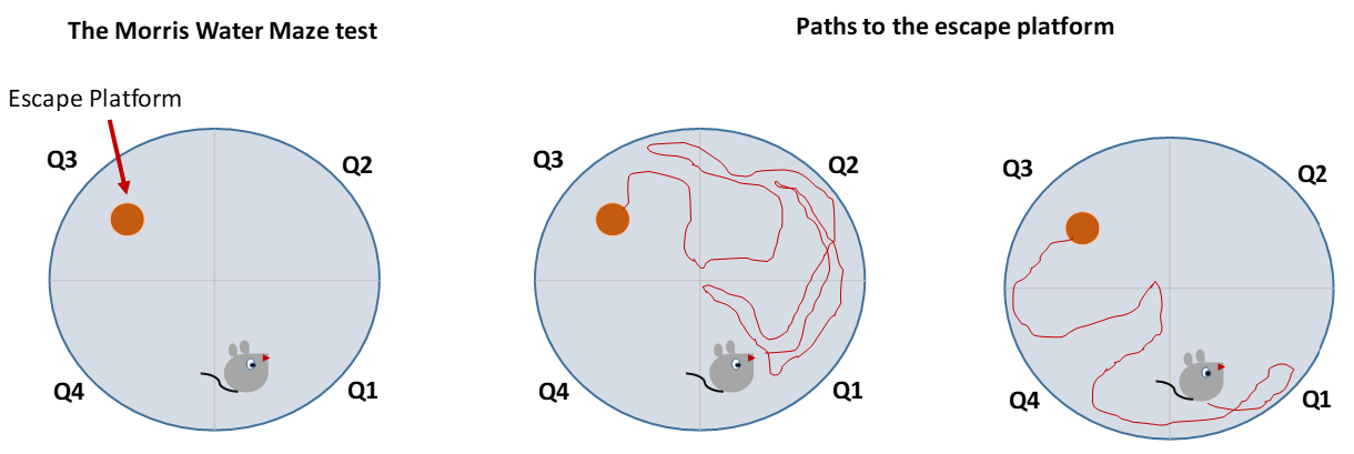 Mathematics 09 02477 g007