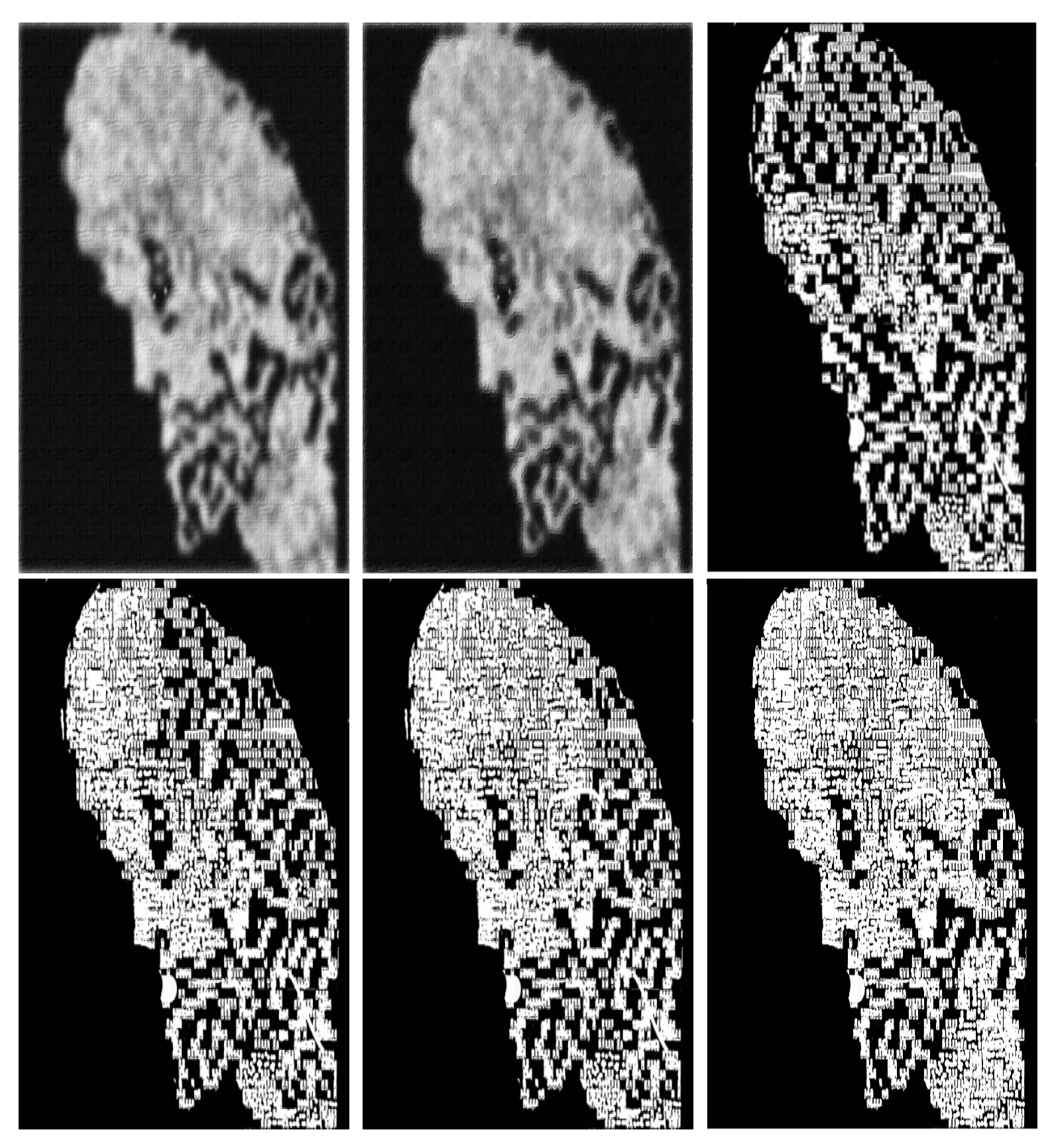 Mathematics 09 02536 g017